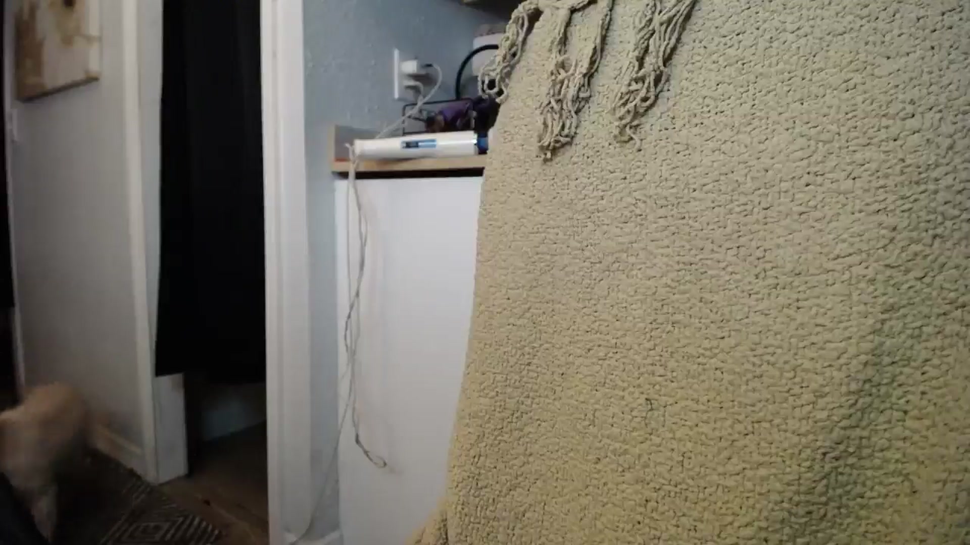 Gallery image thumbnail from BabyxKat's myfreecams stream on, 07/21/2025, 01:13 image 5 of 20