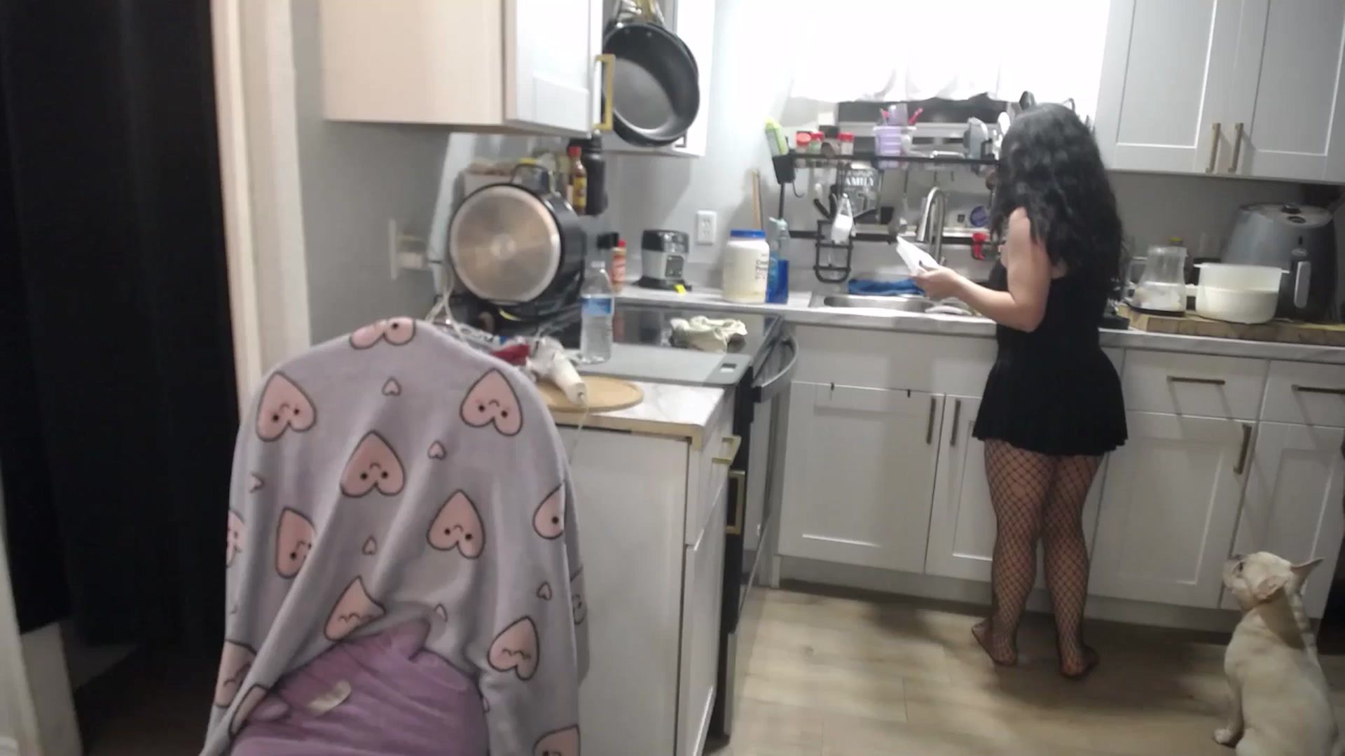 Gallery image thumbnail from BabyxKat's myfreecams stream on, 08/05/2025, 01:09 image 12 of 20