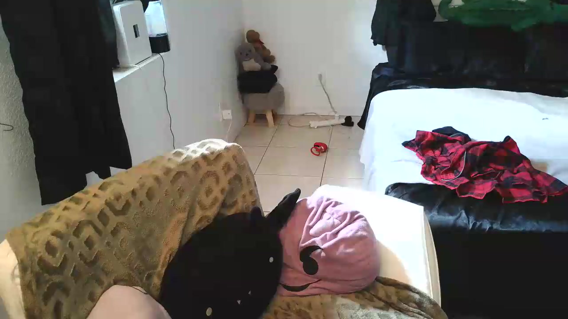 Gallery image thumbnail from BabyxKat's myfreecams stream on, 05/20/2026, 19:28 image 12 of 20