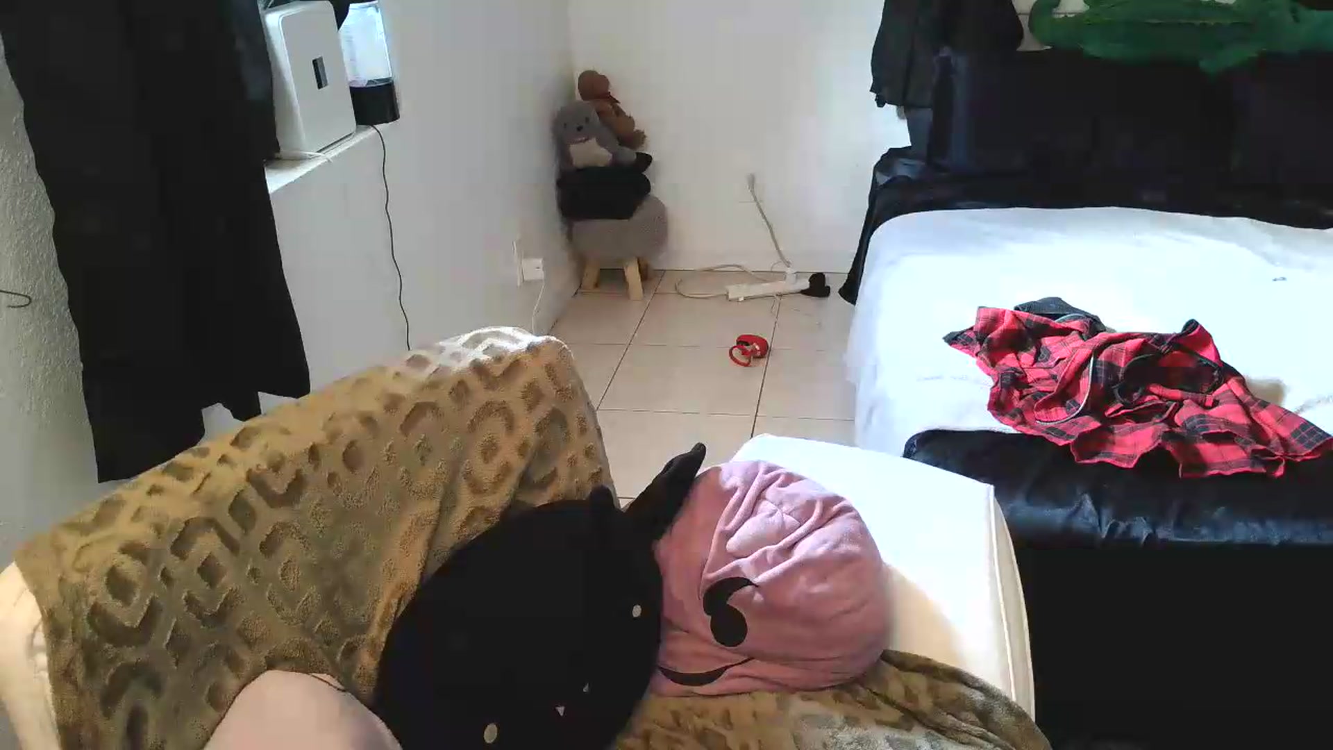 Gallery image thumbnail from BabyxKat's myfreecams stream on, 05/20/2026, 19:28 image 11 of 20