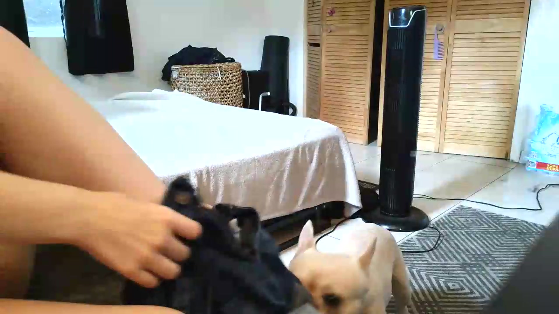 Gallery image thumbnail from BabyxKat's myfreecams stream on, 08/06/2026, 21:02 image 12 of 20