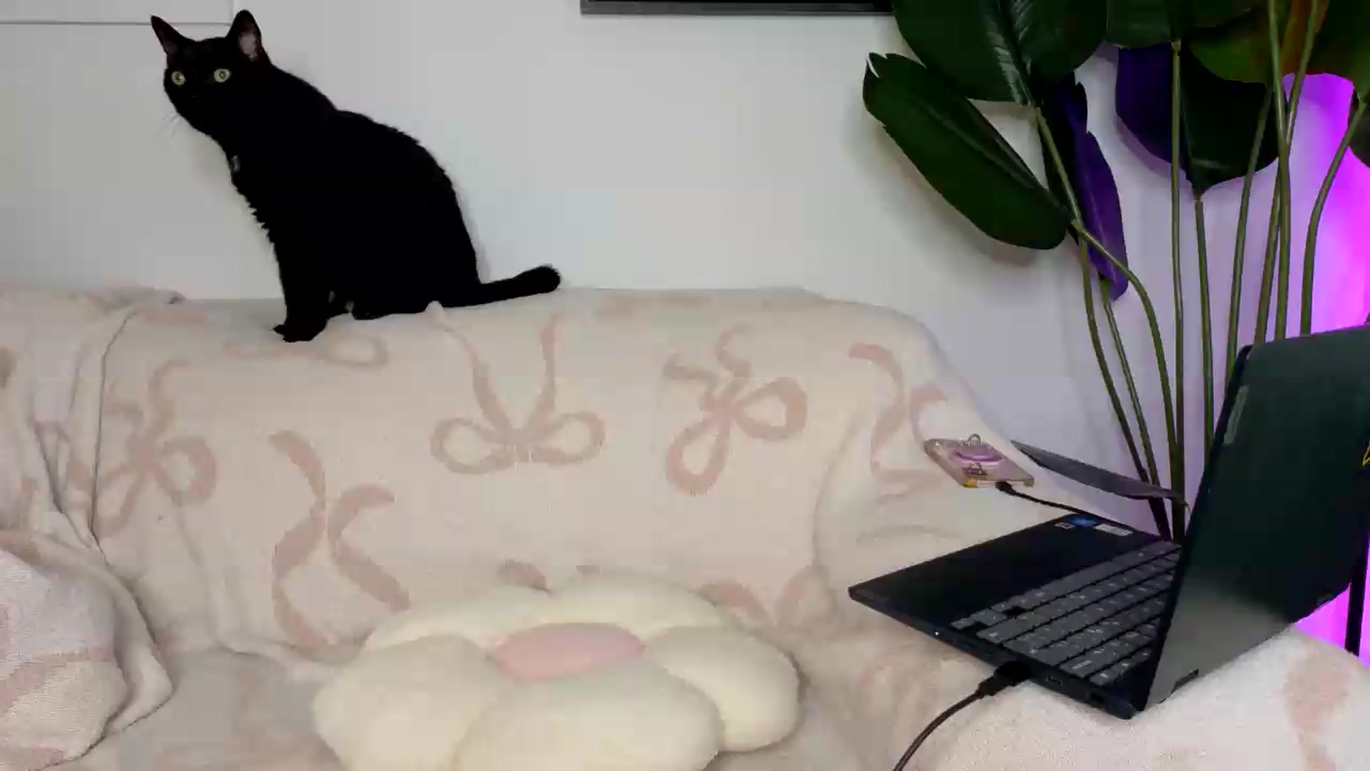 Gallery image thumbnail from BadAriel's myfreecams stream on, 07/15/2026, 19:16 image 1 of 20
