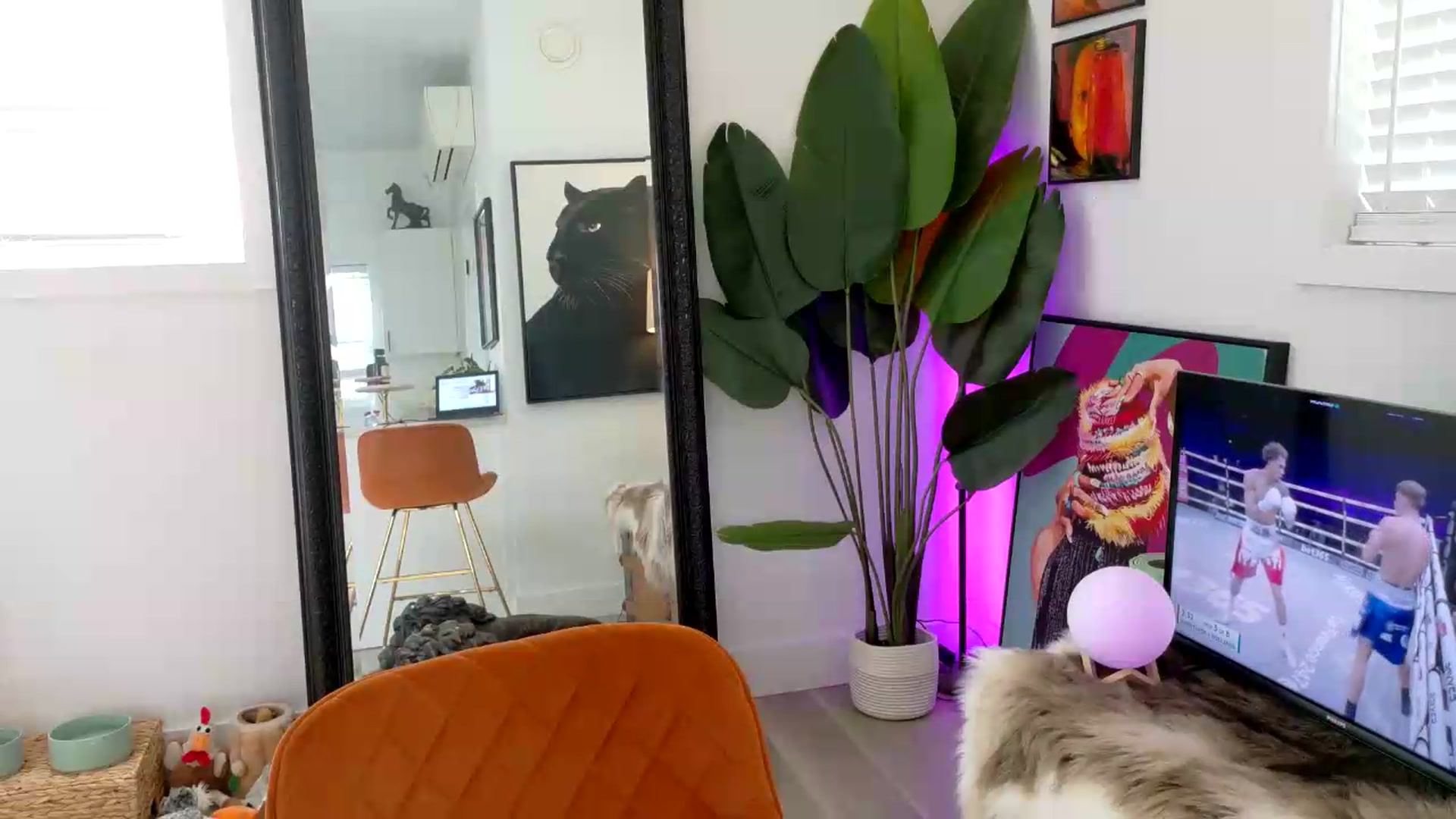 Gallery image thumbnail from BadAriel's myfreecams stream on, 08/27/2026, 15:55 image 3 of 20