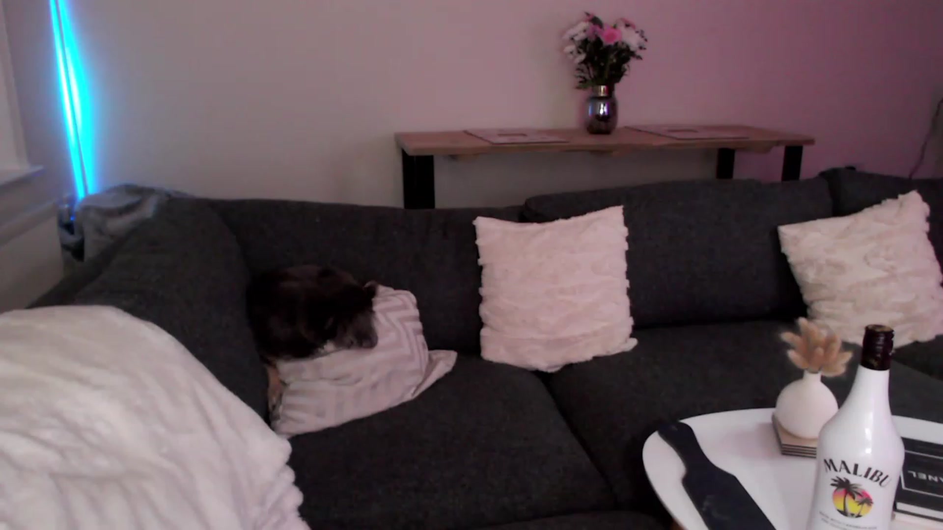 Gallery image thumbnail from BadGalAri's myfreecams stream on, 12/03/2022, 02:23 image 8 of 20