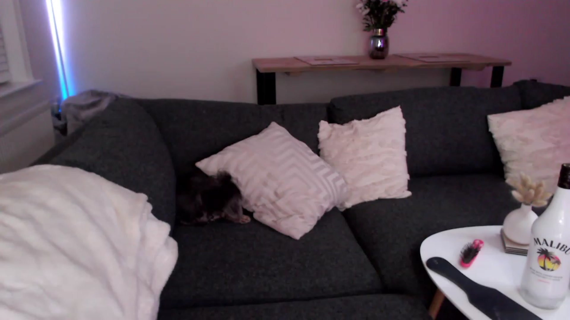 Gallery image thumbnail from BadGalAri's myfreecams stream on, 12/03/2022, 06:15 image 12 of 20