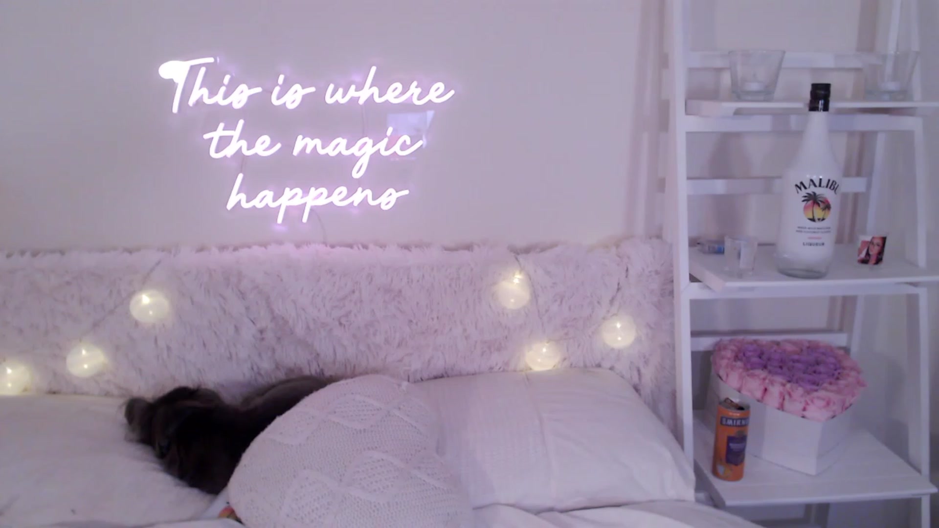 Gallery image thumbnail from BadGalAri's myfreecams stream on, 07/02/2023, 04:03 image 4 of 20