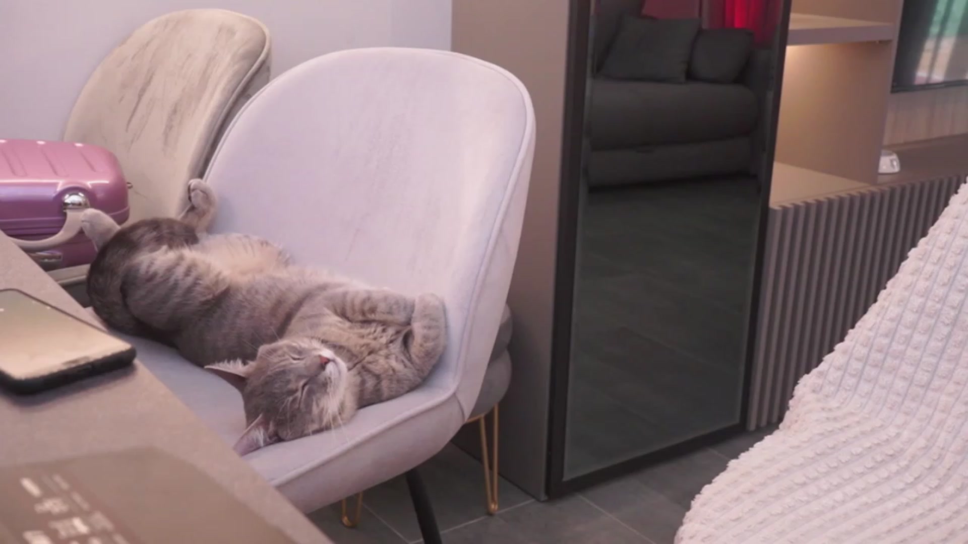 Gallery image thumbnail from Bad_Princesss's myfreecams stream on, 06/10/2023, 14:00 image 5 of 20