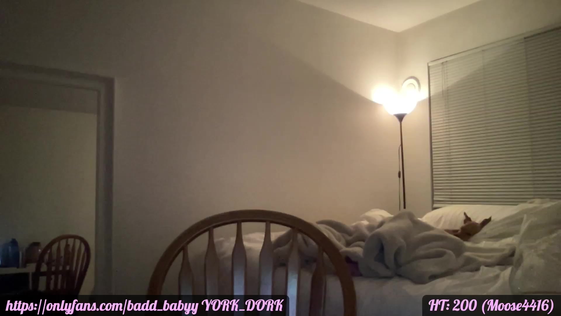 Gallery image thumbnail from Baddbabyy's myfreecams stream on, 11/23/2023, 04:07 image 8 of 20