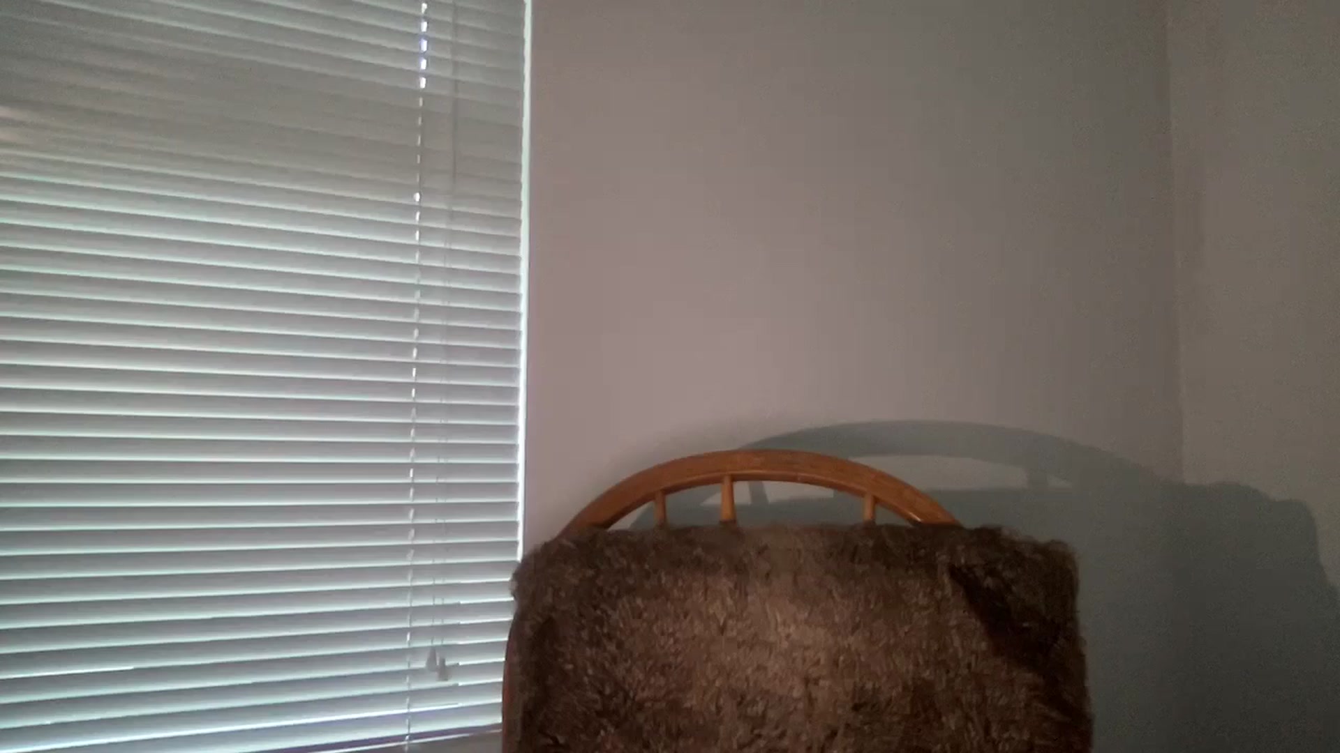 Gallery image thumbnail from Baddbabyy's myfreecams stream on, 08/05/2024, 03:50 image 9 of 20