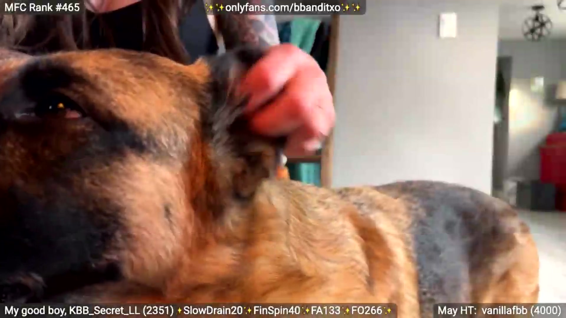 Gallery image thumbnail from BadlandBandit's myfreecams stream on, 05/16/2026, 22:38 image 15 of 20