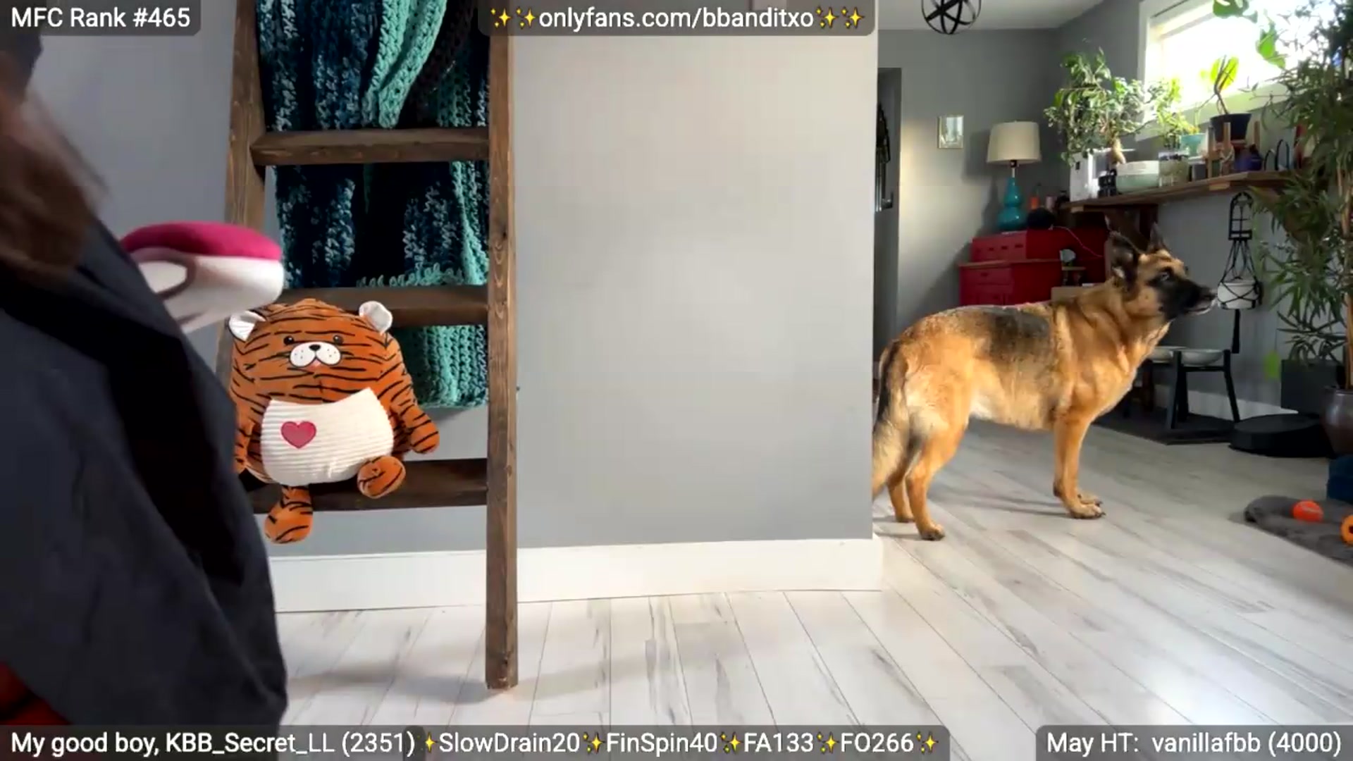 Gallery image thumbnail from BadlandBandit's myfreecams stream on, 05/16/2026, 22:38 image 16 of 20