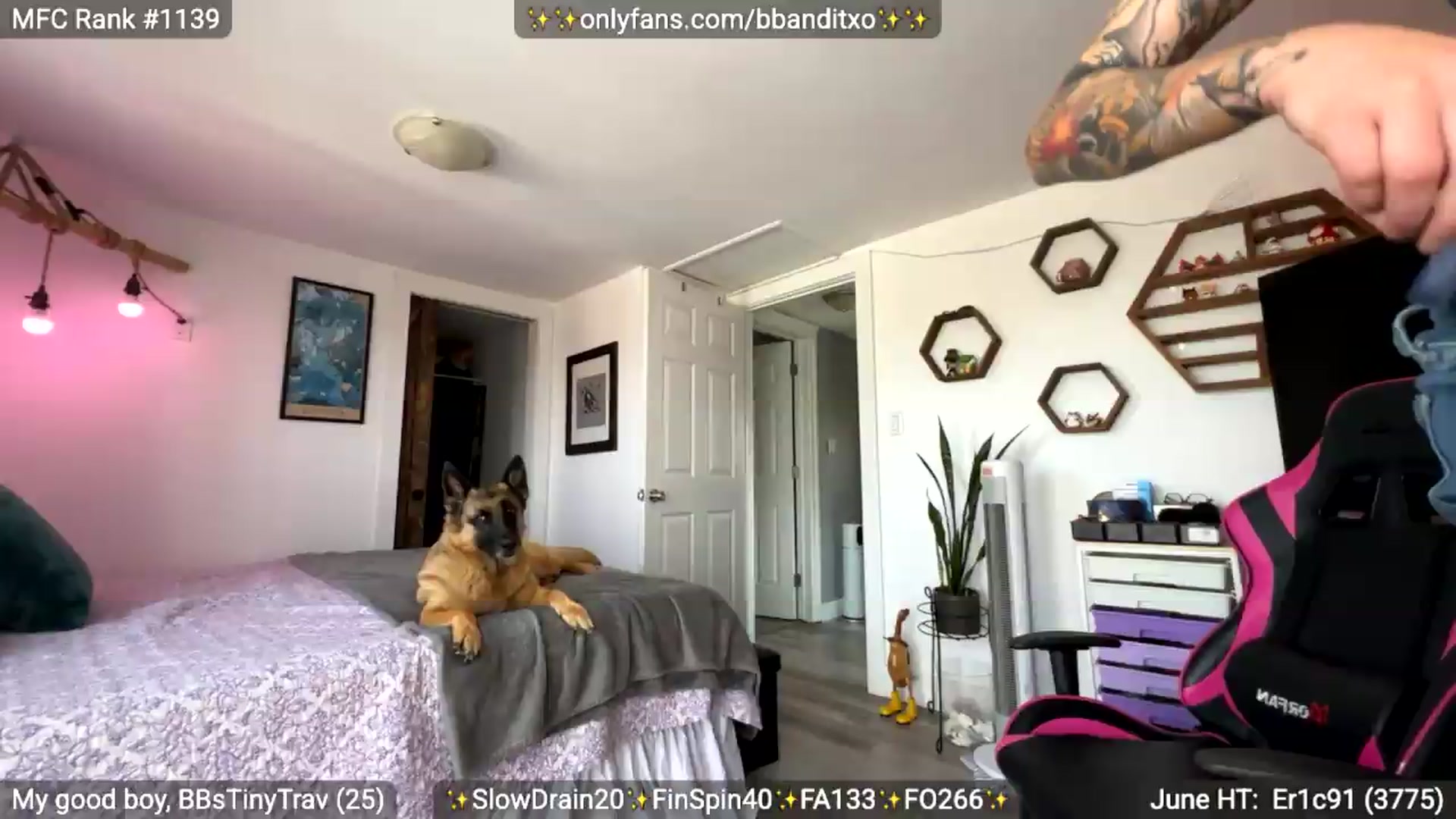 Gallery image thumbnail from BadlandBandit's myfreecams stream on, 06/29/2026, 18:05 image 4 of 20