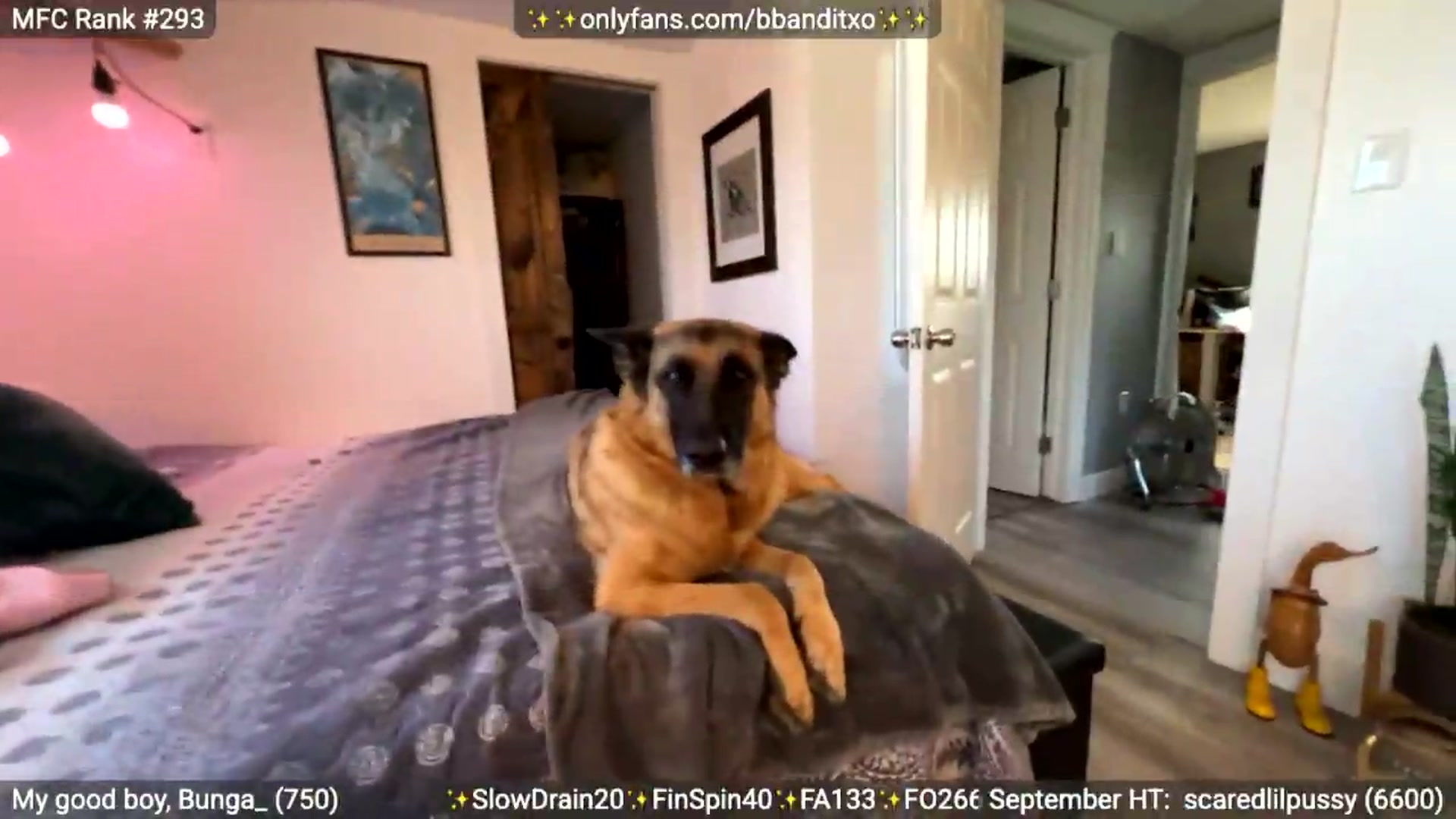 Gallery image thumbnail from BadlandBandit's myfreecams stream on, 09/12/2026, 19:22 image 11 of 20