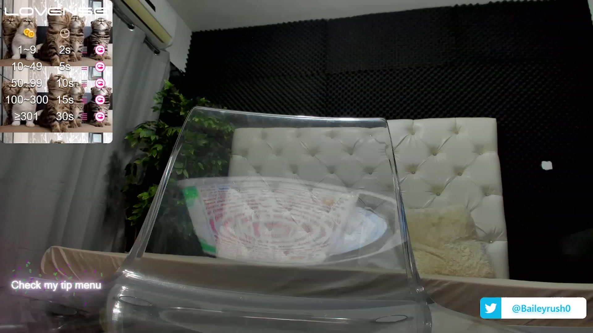 Gallery image thumbnail from BaileyRush's myfreecams stream on, 02/09/2023, 17:08 image 5 of 20