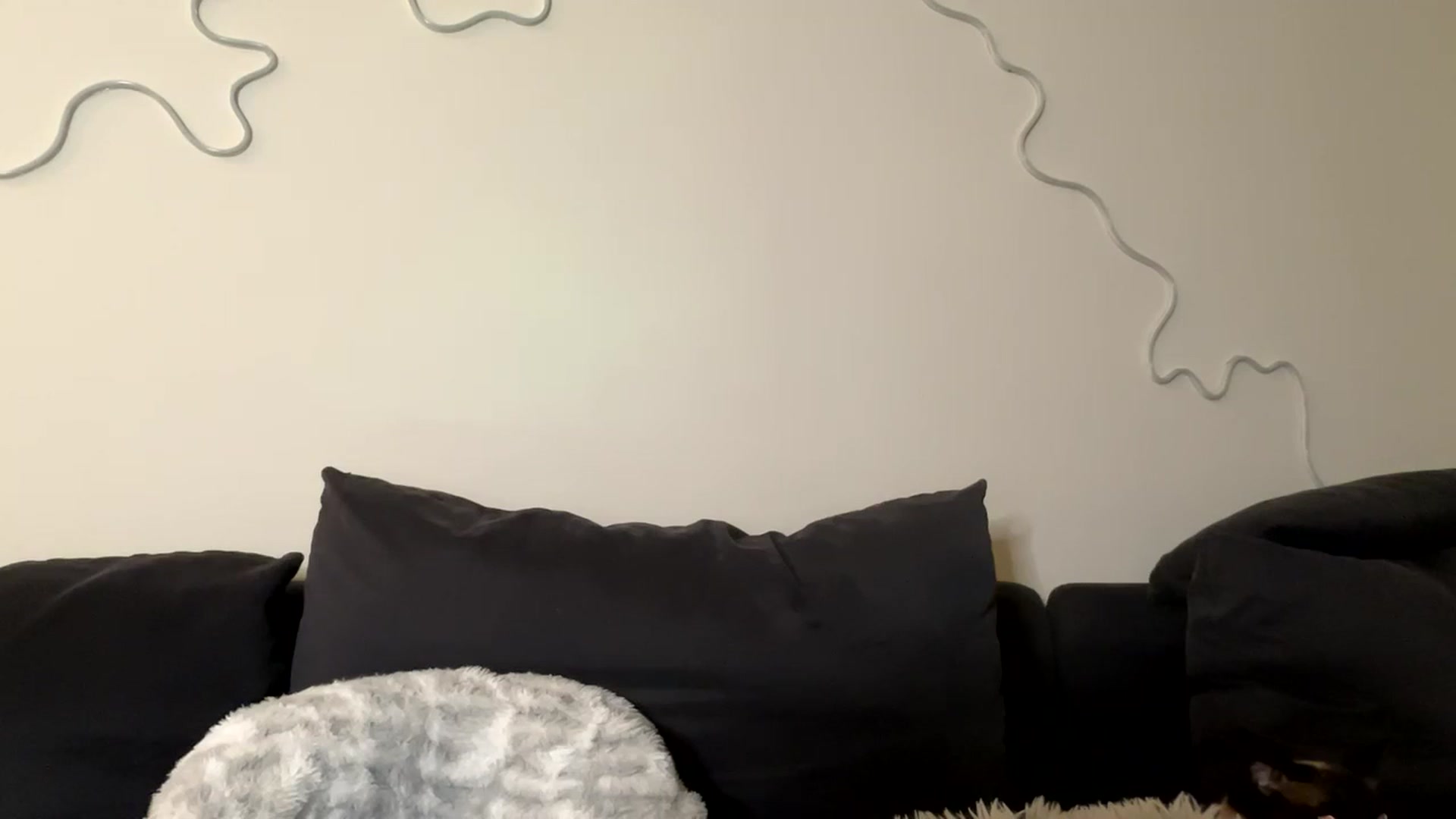 Gallery image thumbnail from Baileyybabyy's myfreecams stream on, 02/14/2024, 07:51 image 13 of 20
