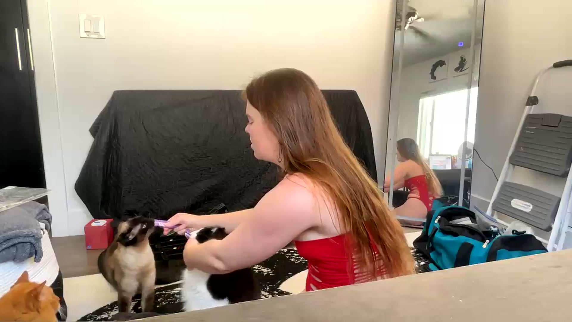 Gallery image thumbnail from Baileyybabyy's myfreecams stream on, 05/07/2024, 23:12 image 3 of 20