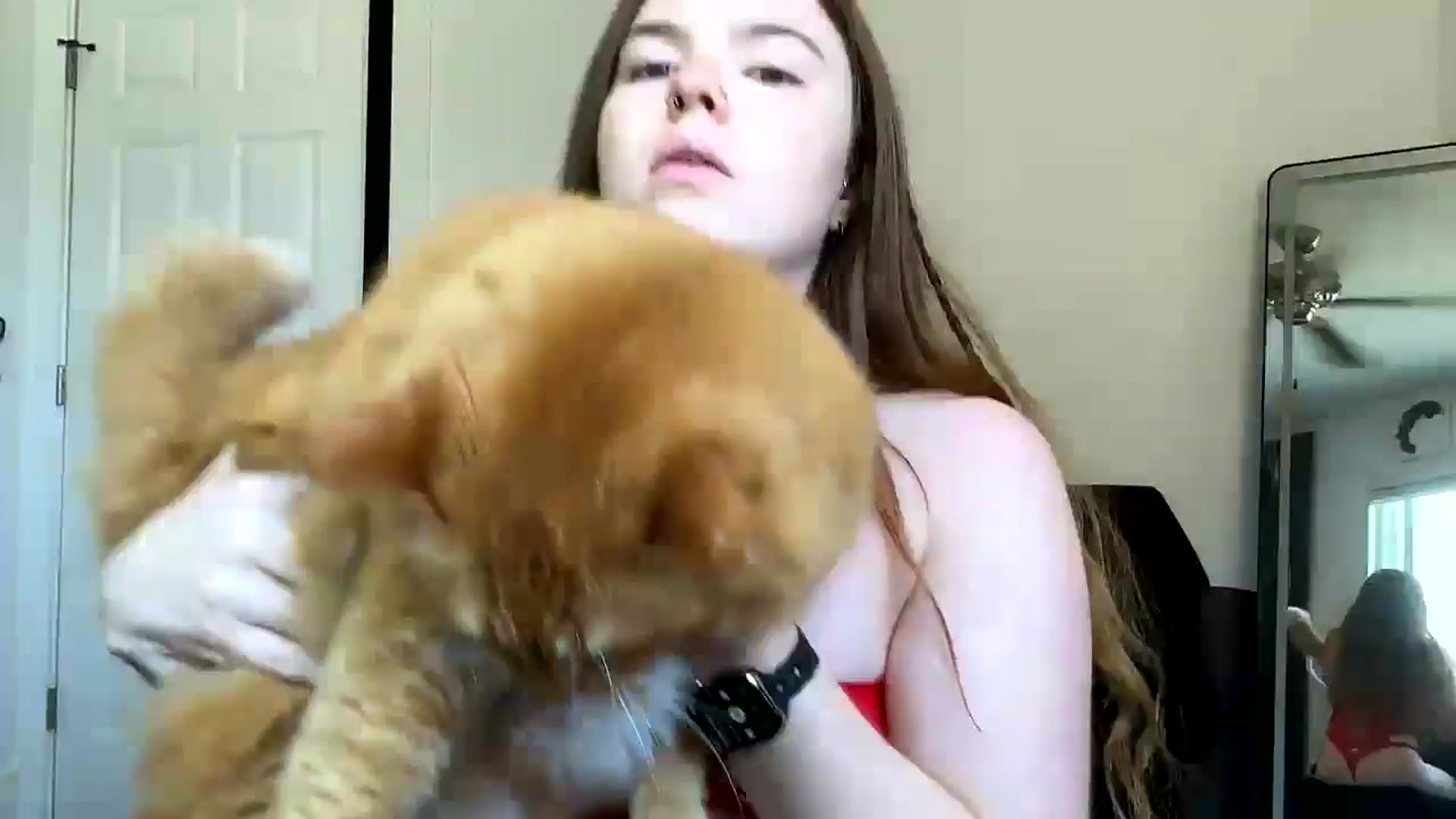 Gallery image thumbnail from Baileyybabyy's myfreecams stream on, 05/21/2024, 19:04 image 12 of 20