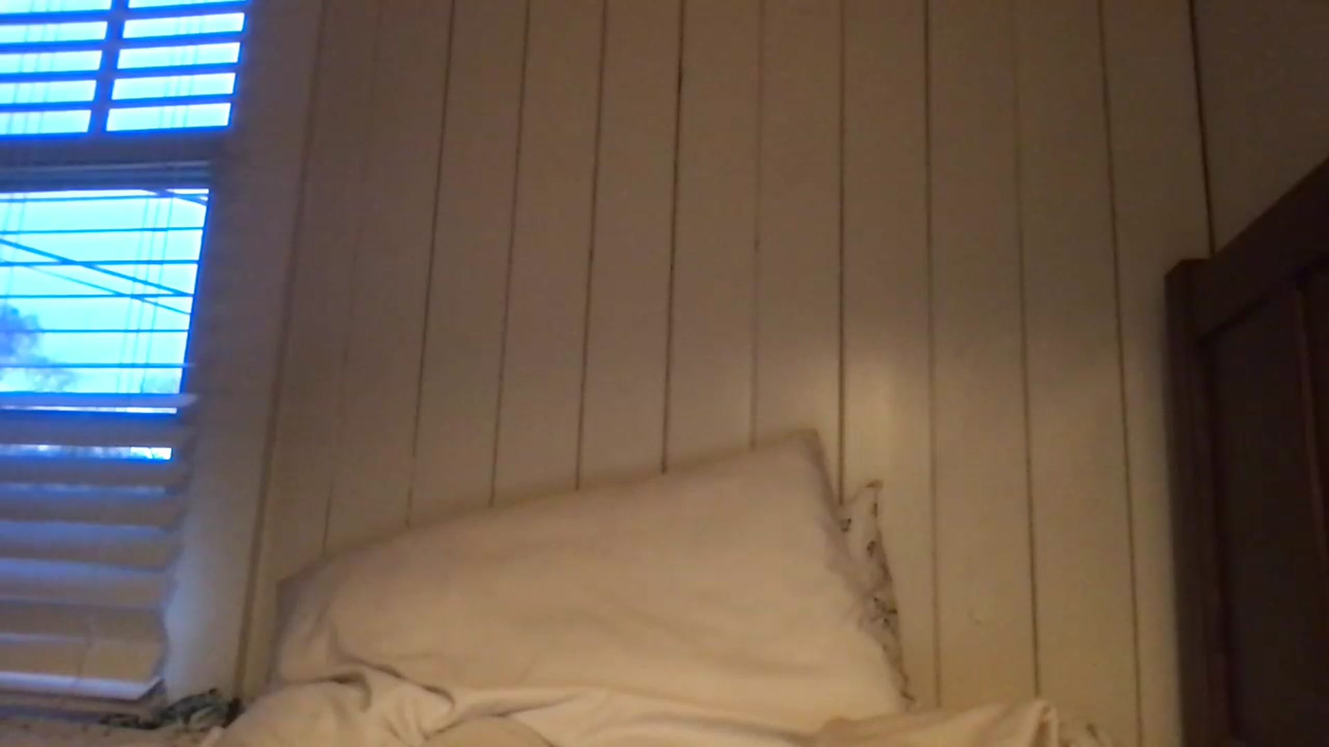 Gallery image thumbnail from Ballerinababy's myfreecams stream on, 12/28/2023, 12:52 image 5 of 20