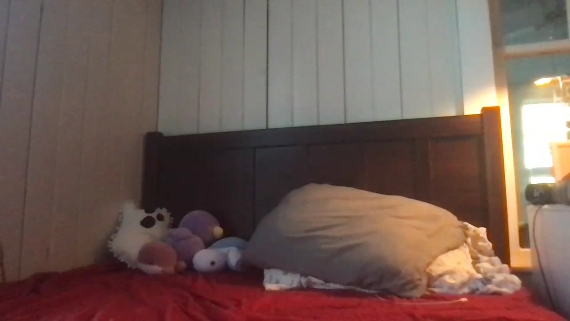 Gallery image thumbnail from Ballerinababy's myfreecams stream on, 02/19/2024, 22:25 image 18 of 20