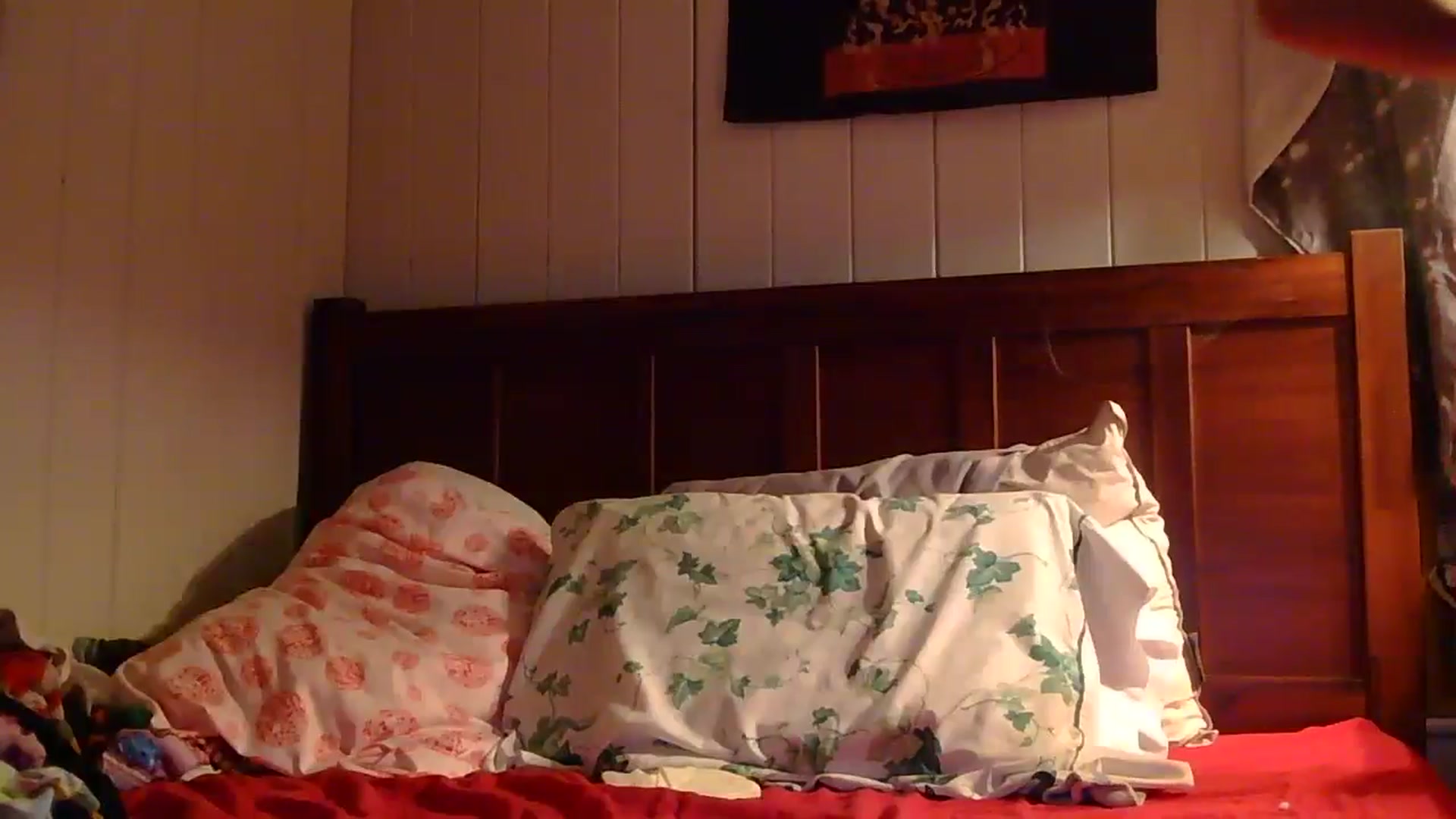 Gallery image thumbnail from Ballerinababy's myfreecams stream on, 10/14/2024, 23:48 image 5 of 20
