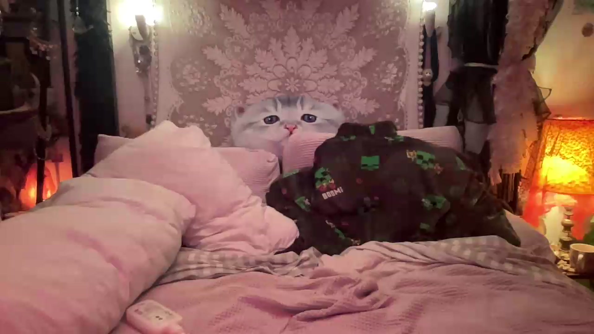 Gallery image thumbnail from BambiBear's myfreecams stream on, 07/24/2026, 08:35 image 2 of 20