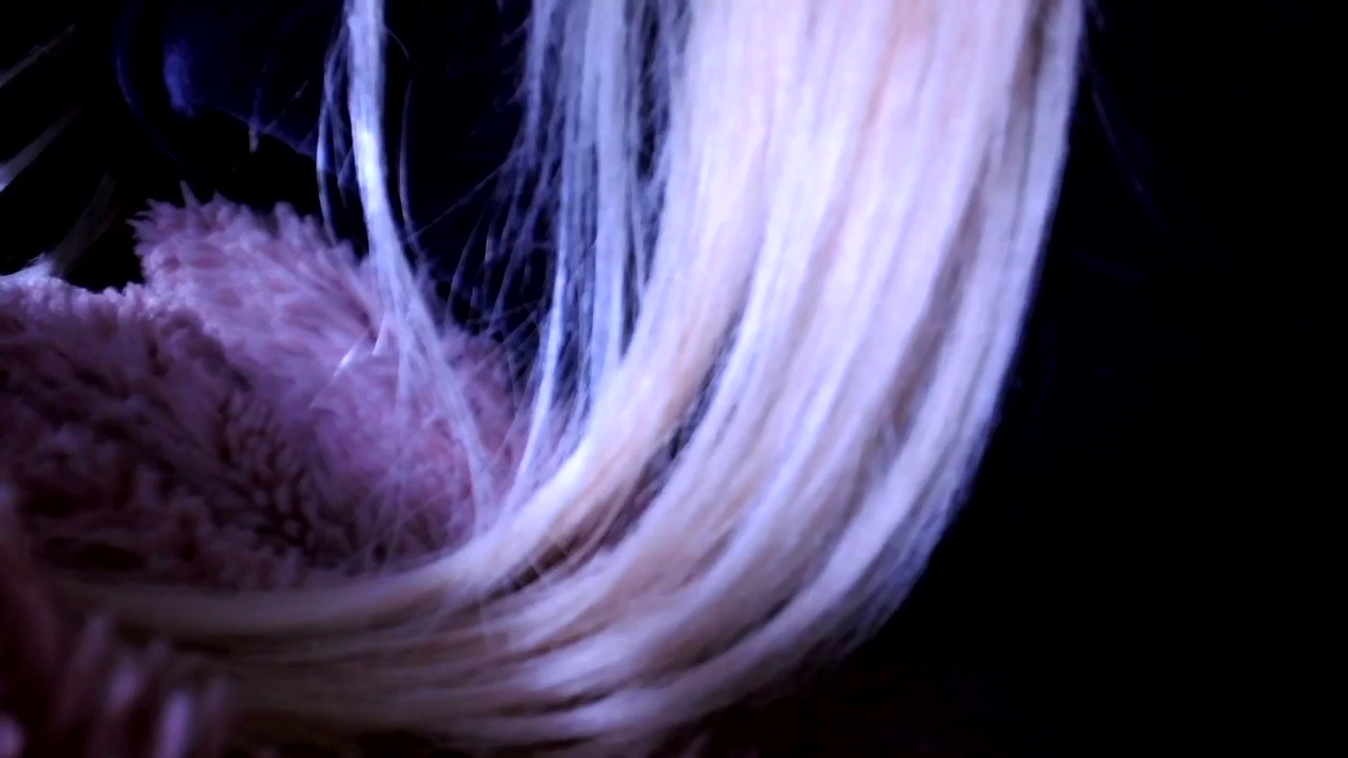 Gallery image thumbnail from Bambidoll00's myfreecams stream on, 02/10/2026, 02:51 image 5 of 20