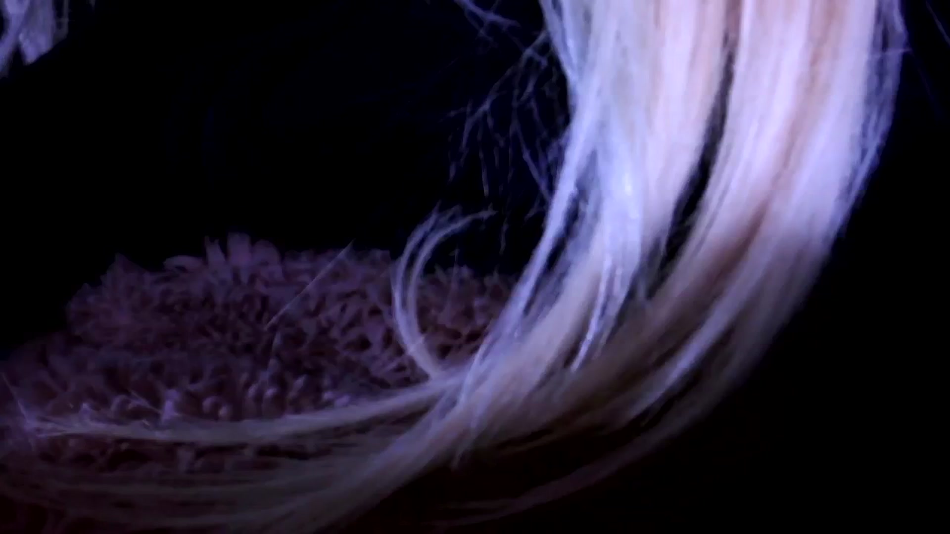 Gallery image thumbnail from Bambidoll00's myfreecams stream on, 02/10/2026, 02:51 image 18 of 20