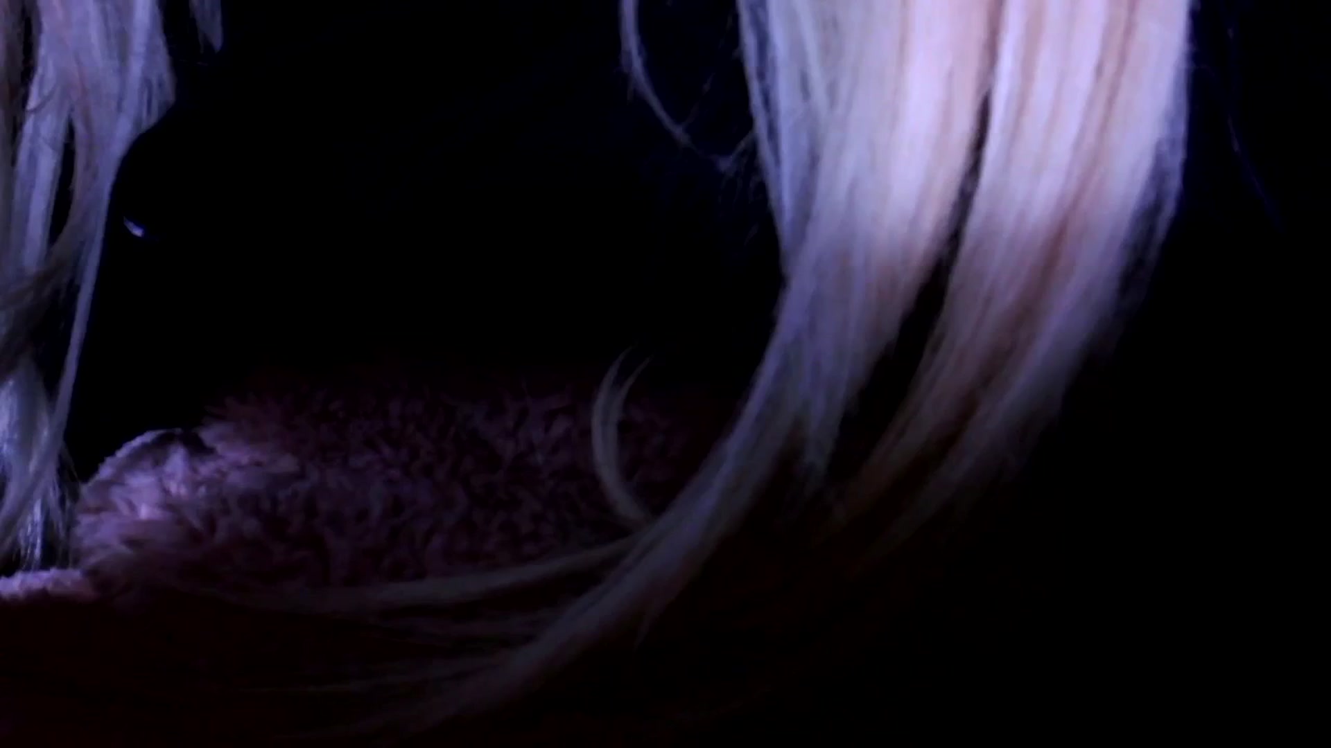 Gallery image thumbnail from Bambidoll00's myfreecams stream on, 02/10/2026, 02:51 image 13 of 20