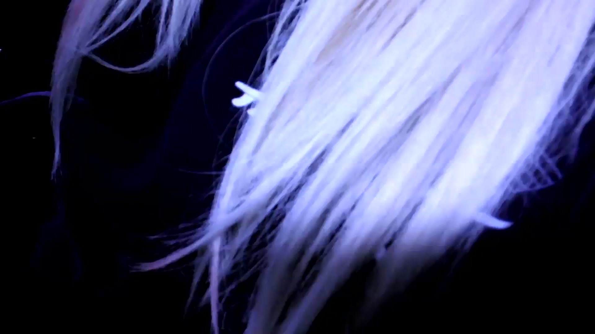 Gallery image thumbnail from Bambidoll00's myfreecams stream on, 05/18/2026, 21:40 image 13 of 20