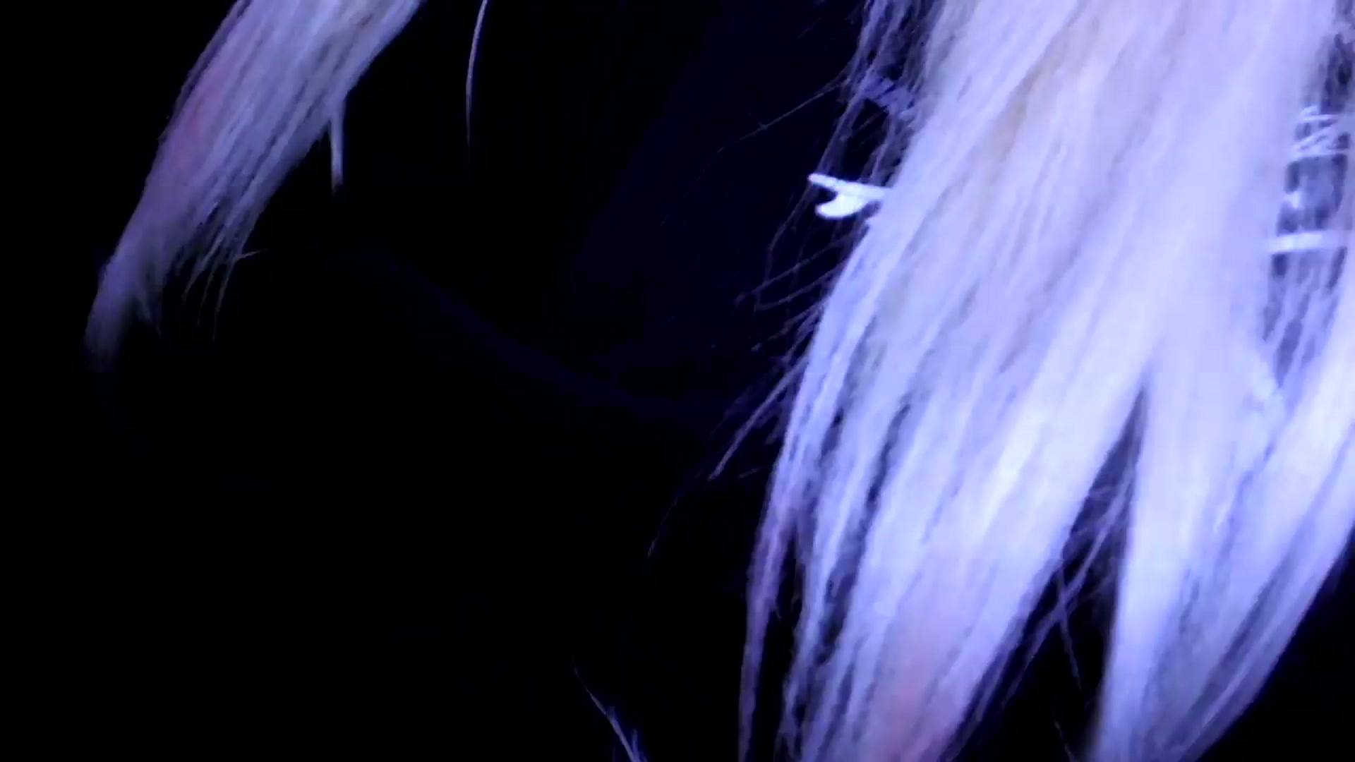 Gallery image thumbnail from Bambidoll00's myfreecams stream on, 05/19/2026, 01:52 image 3 of 20