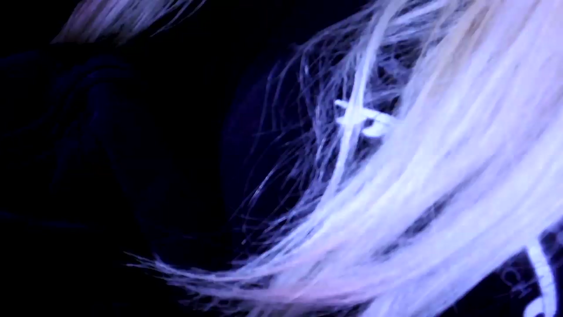 Gallery image thumbnail from Bambidoll00's myfreecams stream on, 05/19/2026, 01:52 image 11 of 20