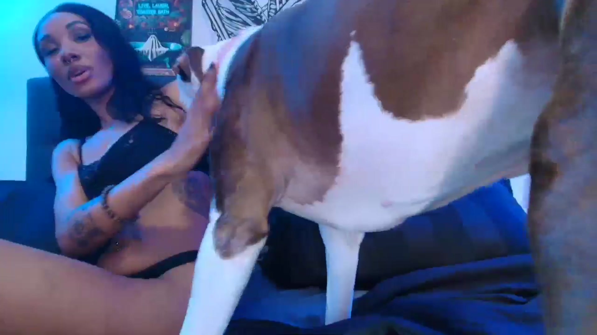 Gallery image thumbnail from Bambiisvoid's myfreecams stream on, 11/13/2025, 03:40 image 19 of 20