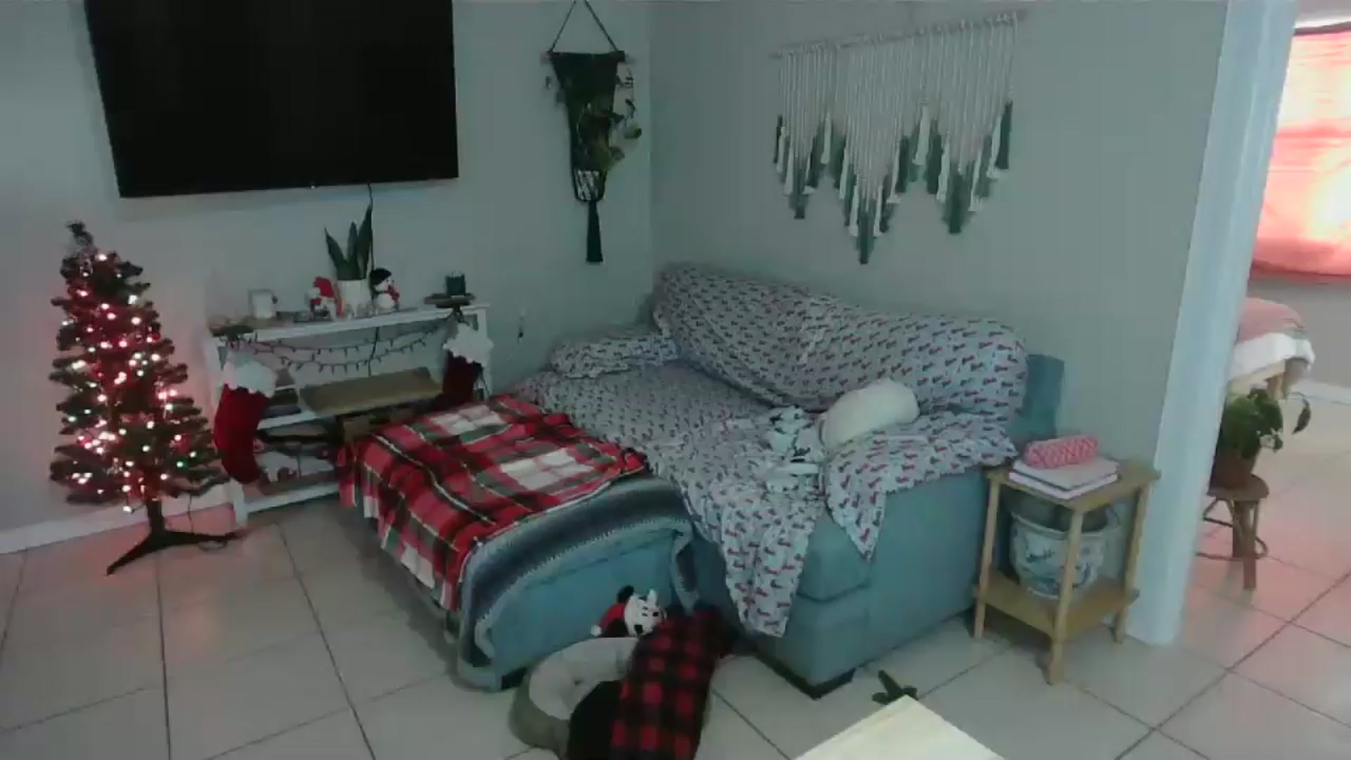 Gallery image thumbnail from Bambz's myfreecams stream on, 01/02/2026, 14:15 image 16 of 20