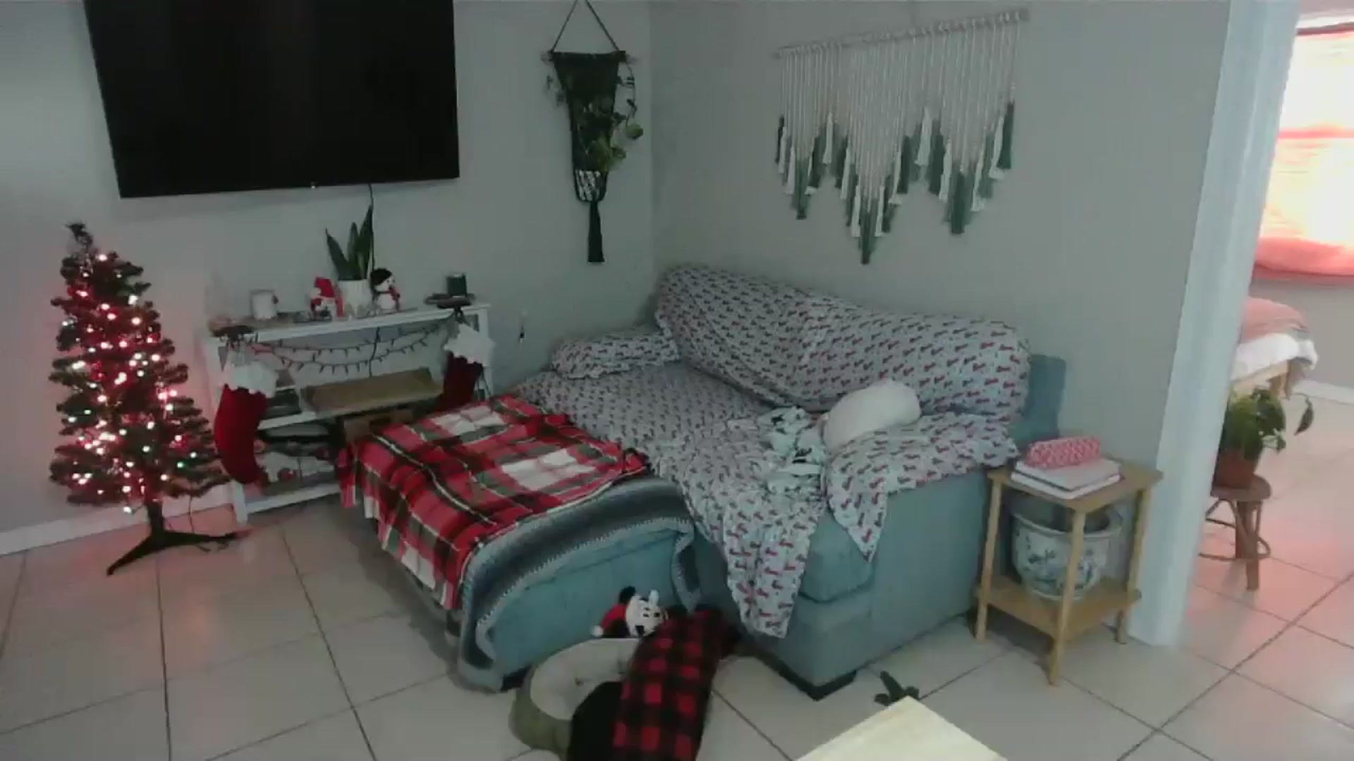 Gallery image thumbnail from Bambz's myfreecams stream on, 01/02/2026, 14:15 image 20 of 20