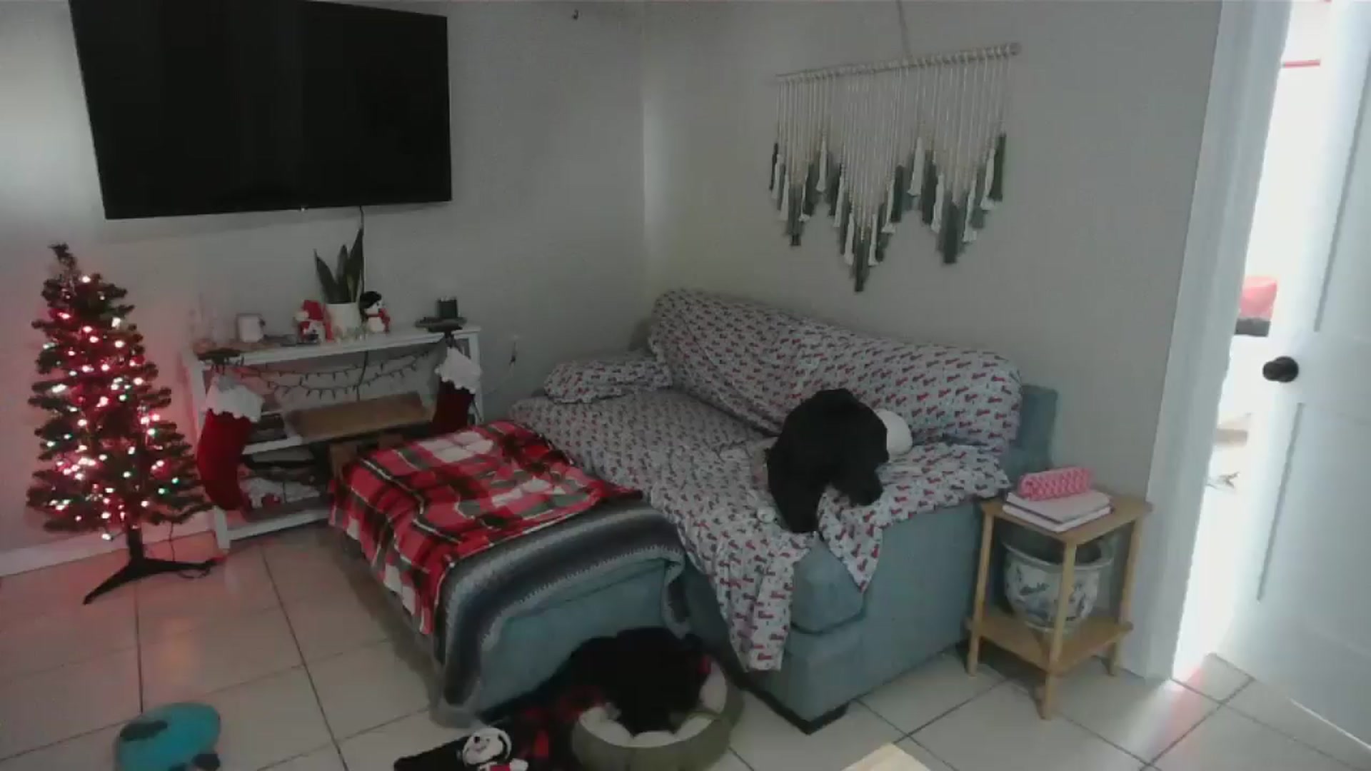 Gallery image thumbnail from Bambz's myfreecams stream on, 01/02/2026, 16:59 image 8 of 20