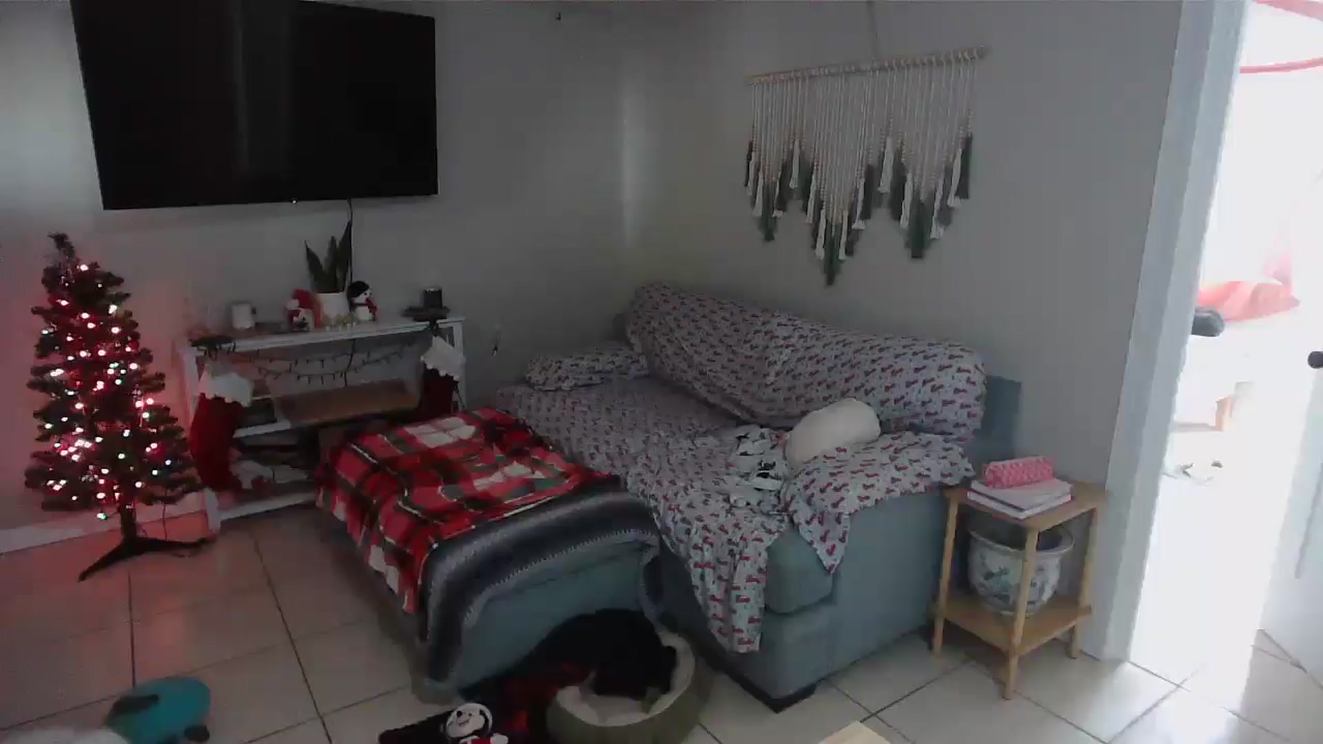 Gallery image thumbnail from Bambz's myfreecams stream on, 01/02/2026, 17:55 image 2 of 20