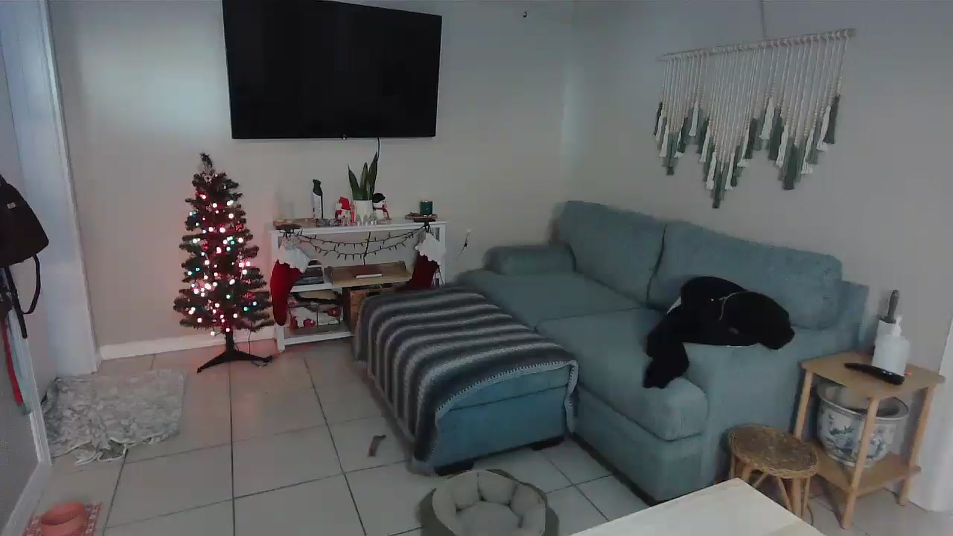 Gallery image thumbnail from Bambz's myfreecams stream on, 01/05/2026, 16:58 image 16 of 20