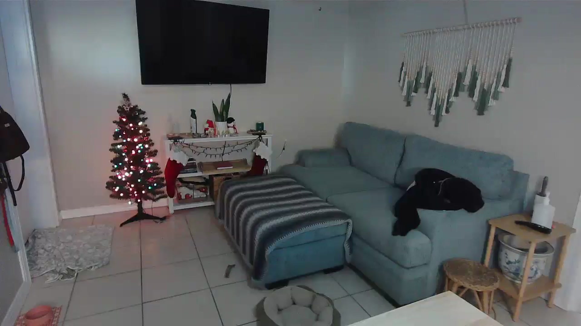 Gallery image thumbnail from Bambz's myfreecams stream on, 01/05/2026, 16:58 image 17 of 20