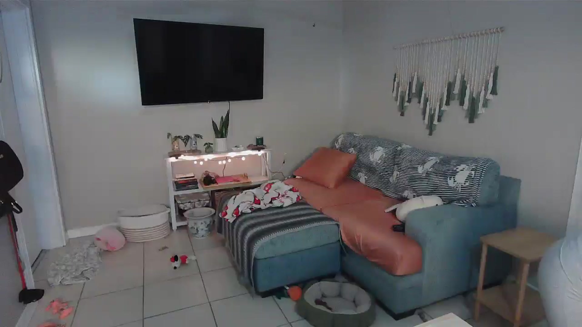 Gallery image thumbnail from Bambz's myfreecams stream on, 01/08/2026, 16:10 image 5 of 20