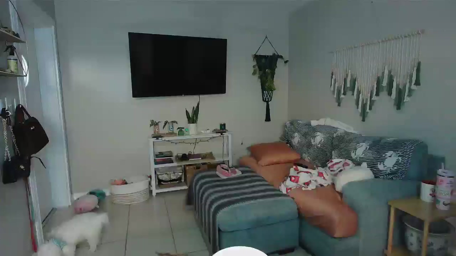 Gallery image thumbnail from Bambz's myfreecams stream on, 01/12/2026, 15:42 image 1 of 20