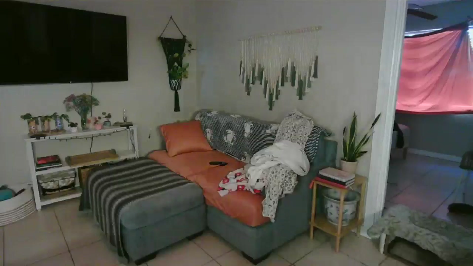 Gallery image thumbnail from Bambz's myfreecams stream on, 01/27/2026, 14:52 image 12 of 20