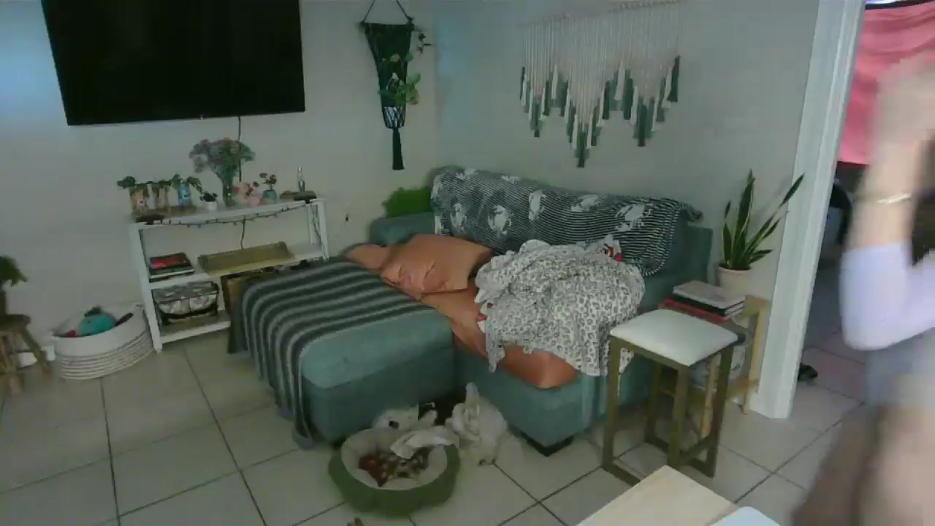 Gallery image thumbnail from Bambz's myfreecams stream on, 01/27/2026, 16:26 image 6 of 20