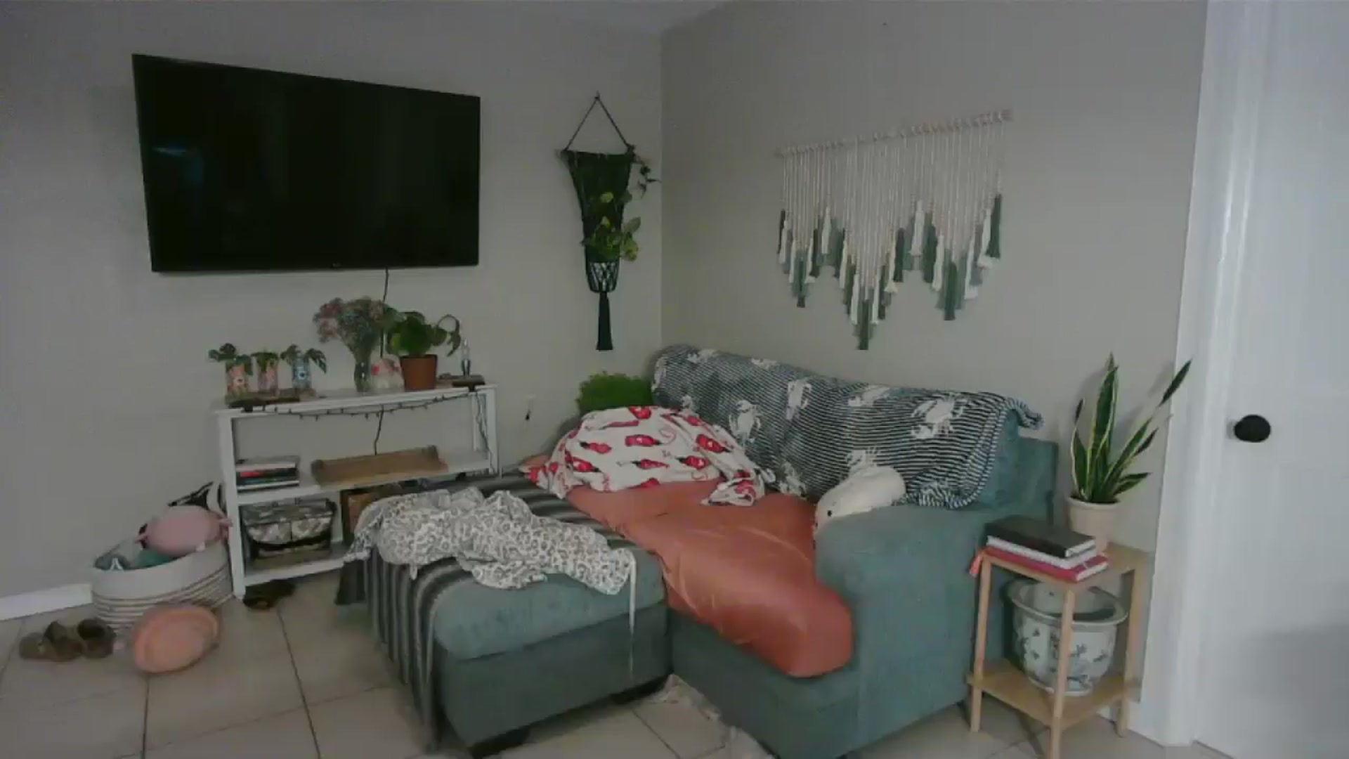 Gallery image thumbnail from Bambz's myfreecams stream on, 01/28/2026, 02:25 image 10 of 20