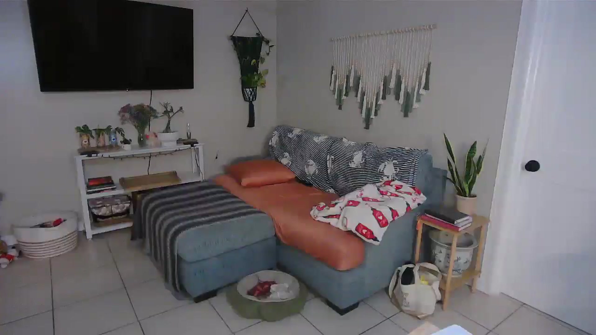 Gallery image thumbnail from Bambz's myfreecams stream on, 01/30/2026, 14:50 image 4 of 20