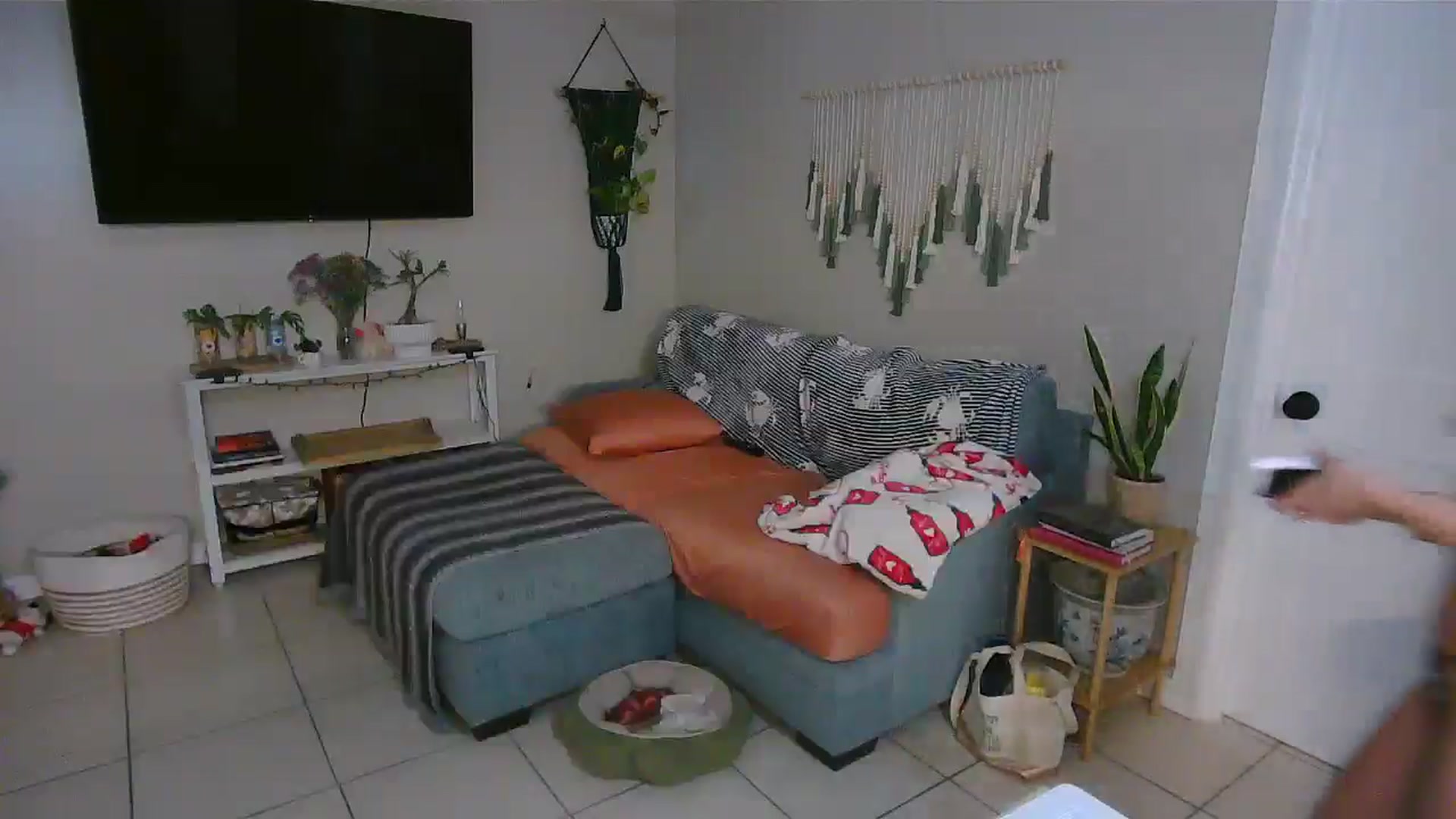 Gallery image thumbnail from Bambz's myfreecams stream on, 01/30/2026, 14:50 image 11 of 20