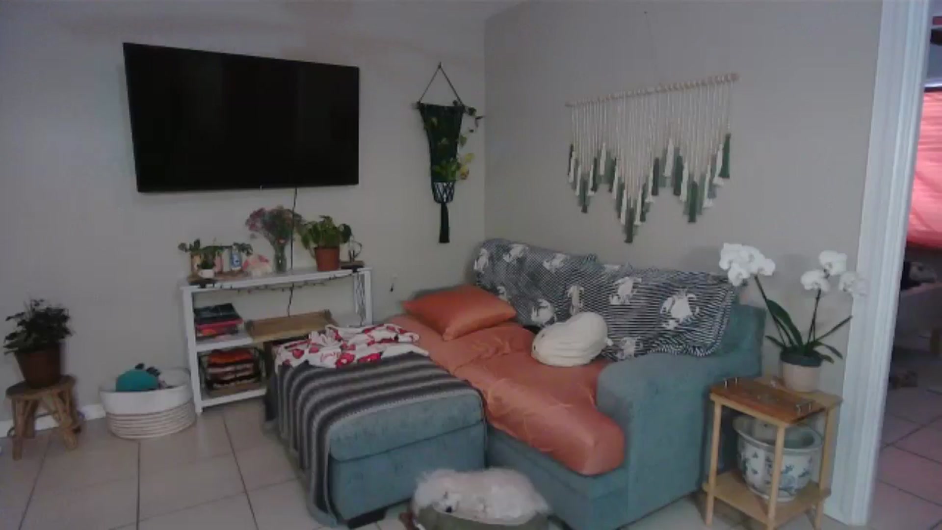 Gallery image thumbnail from Bambz's myfreecams stream on, 02/01/2026, 15:04 image 12 of 20