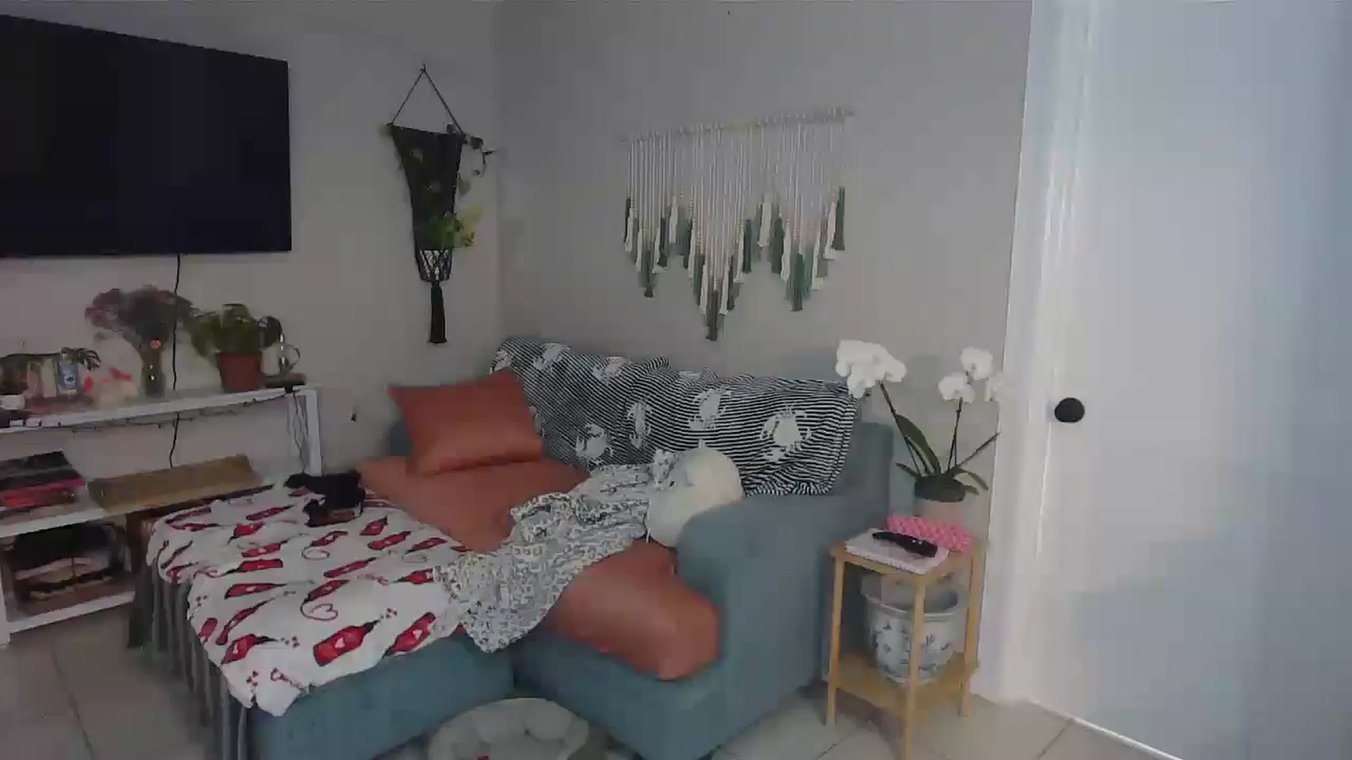 Gallery image thumbnail from Bambz's myfreecams stream on, 02/01/2026, 21:42 image 2 of 20