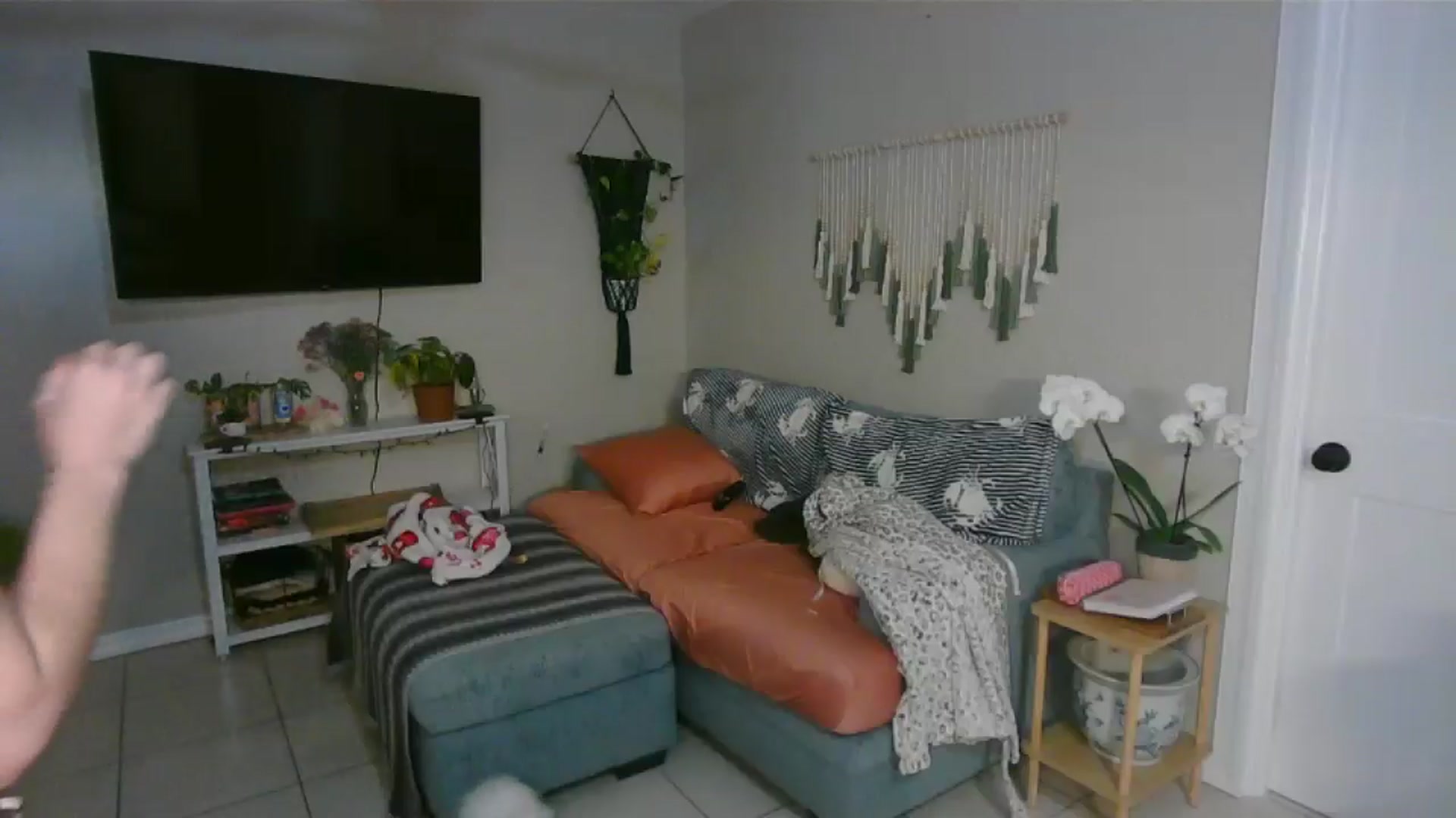 Gallery image thumbnail from Bambz's myfreecams stream on, 02/02/2026, 14:10 image 15 of 20