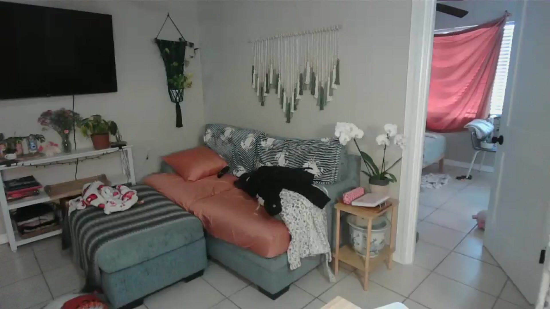 Gallery image thumbnail from Bambz's myfreecams stream on, 02/02/2026, 15:59 image 20 of 20