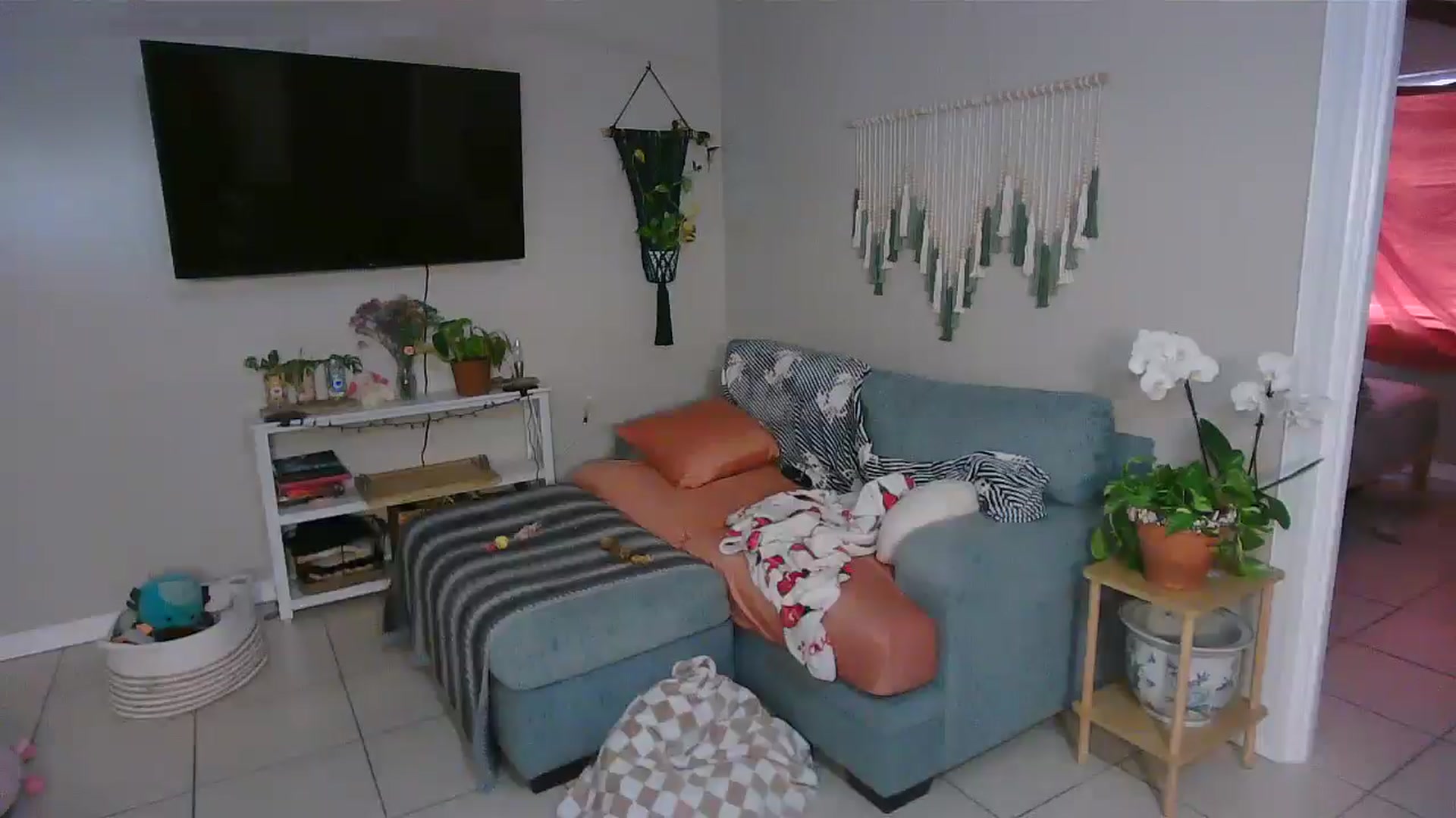 Gallery image thumbnail from Bambz's myfreecams stream on, 02/03/2026, 14:35 image 4 of 20